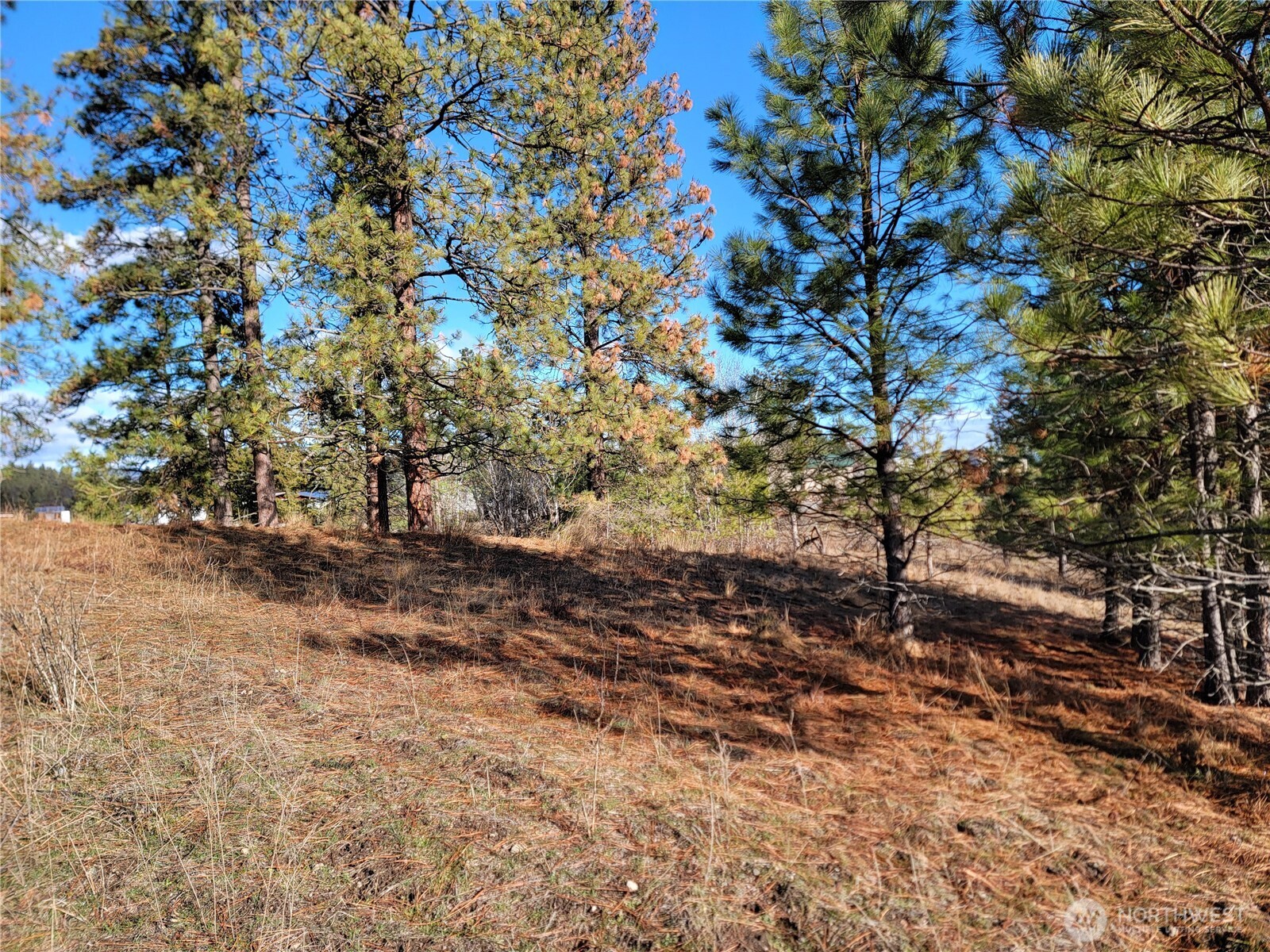 999 Lot 22 Stabenfeldt Drive Property Photo 7