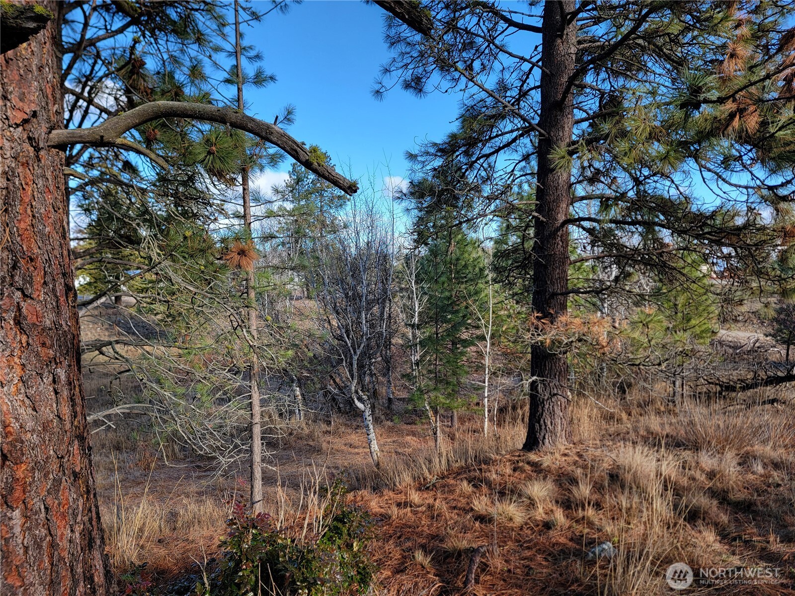 999 Lot 22 Stabenfeldt Drive Property Photo 8