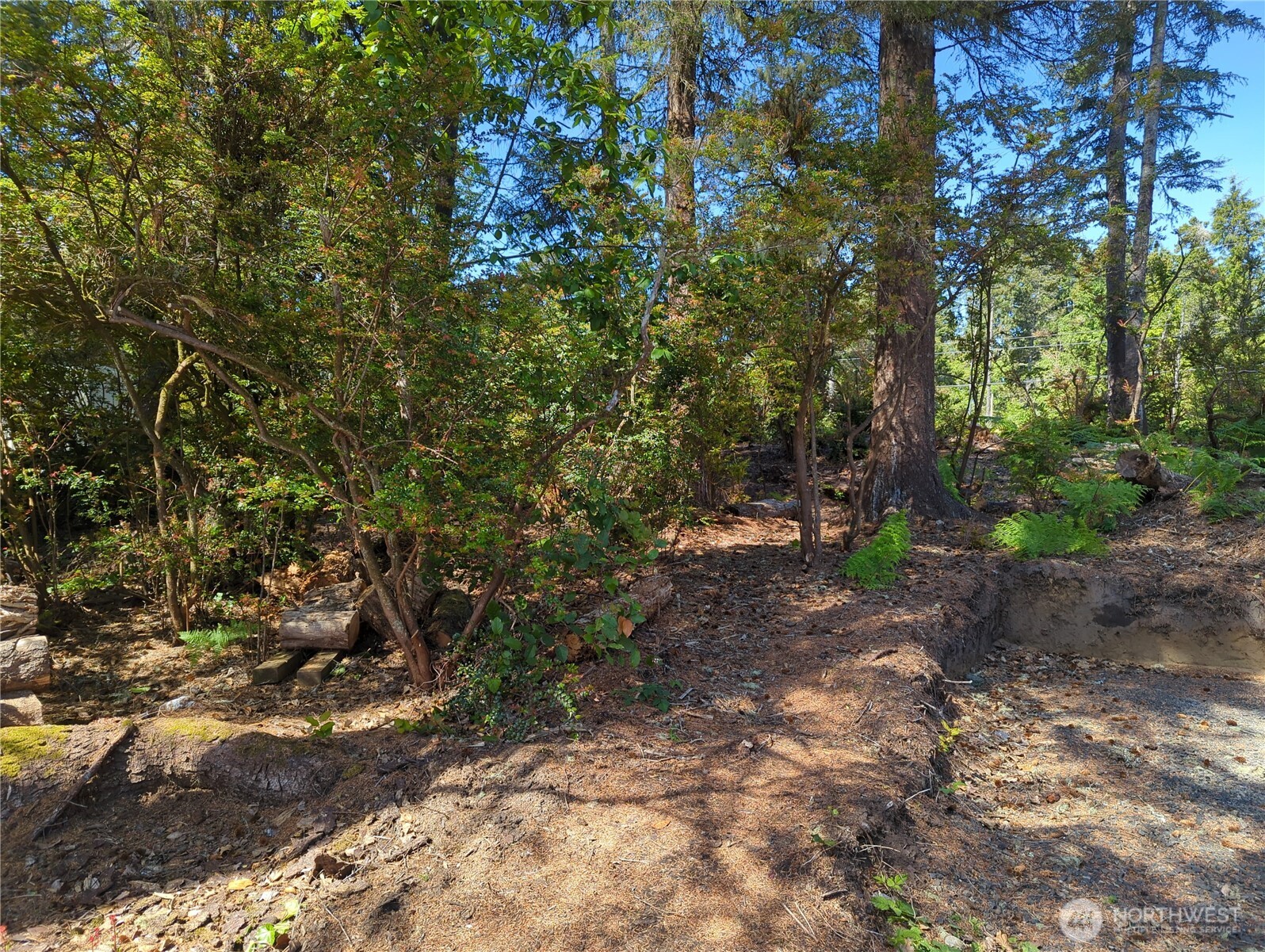 2100 266th Place Property Photo 7