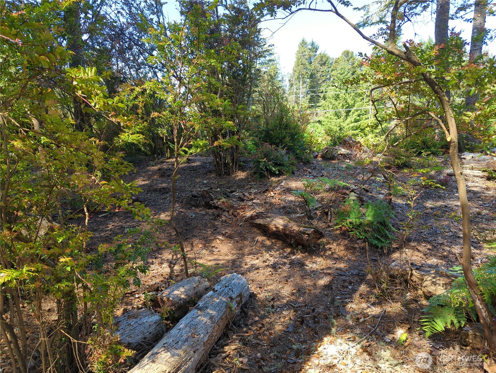 2100 266th Place Property Photo 9