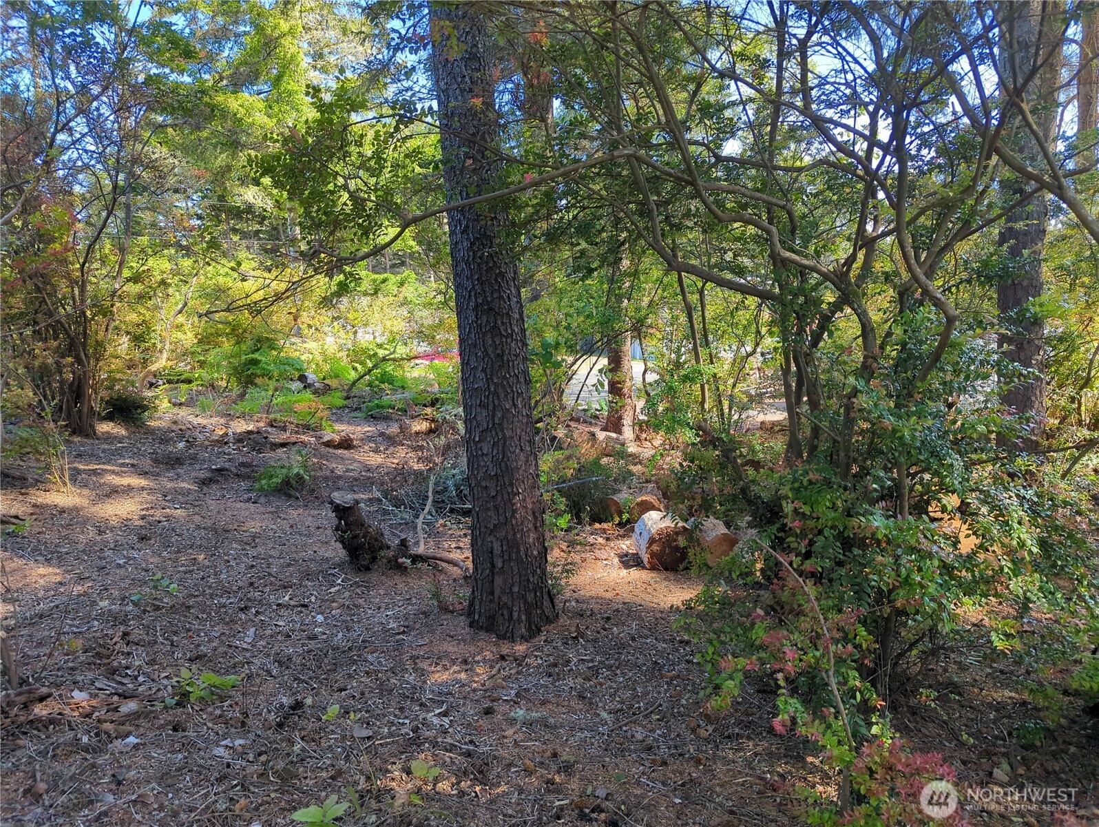 2100 266th Place Property Photo 10