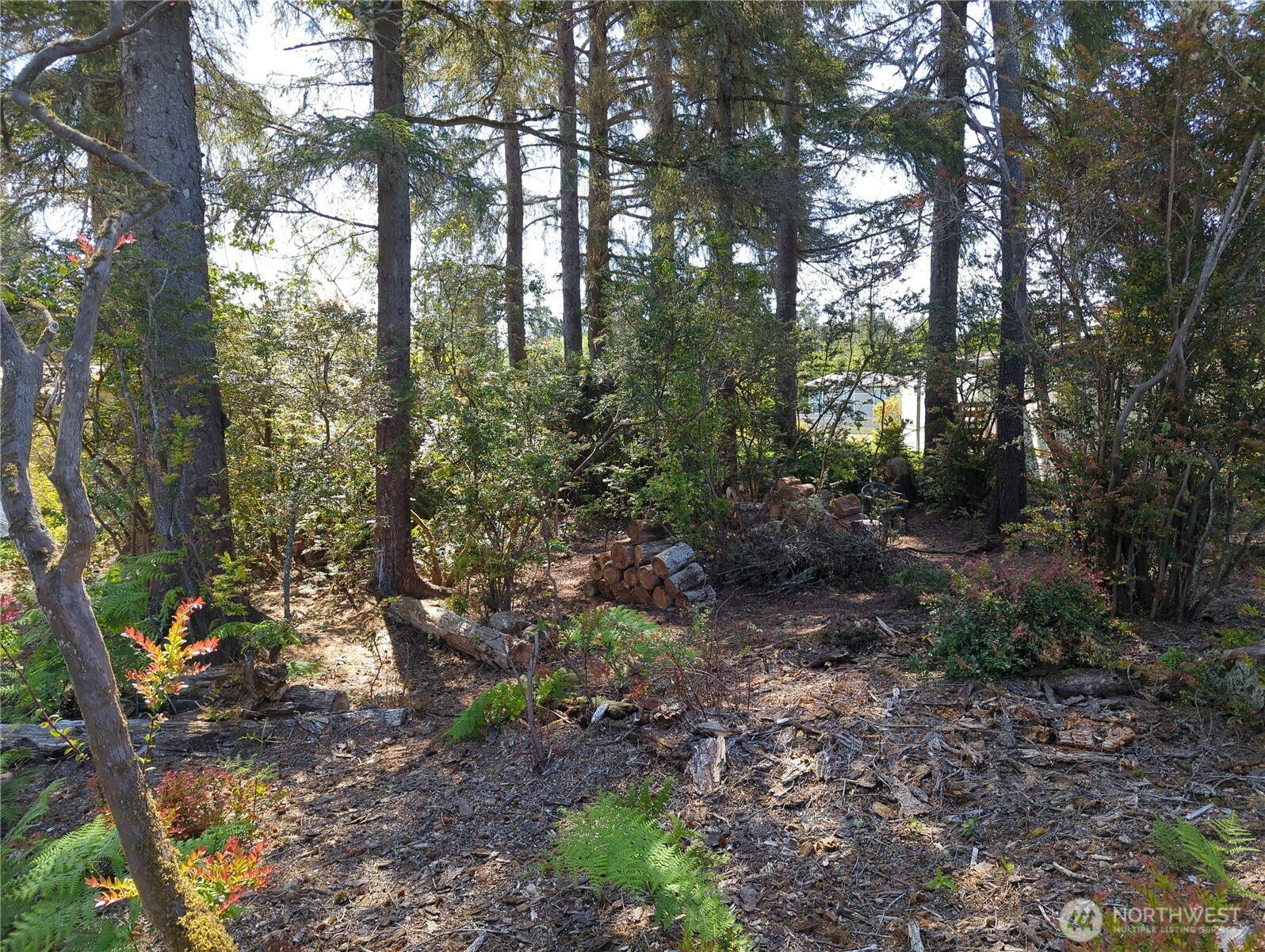 2100 266th Place Property Photo 13