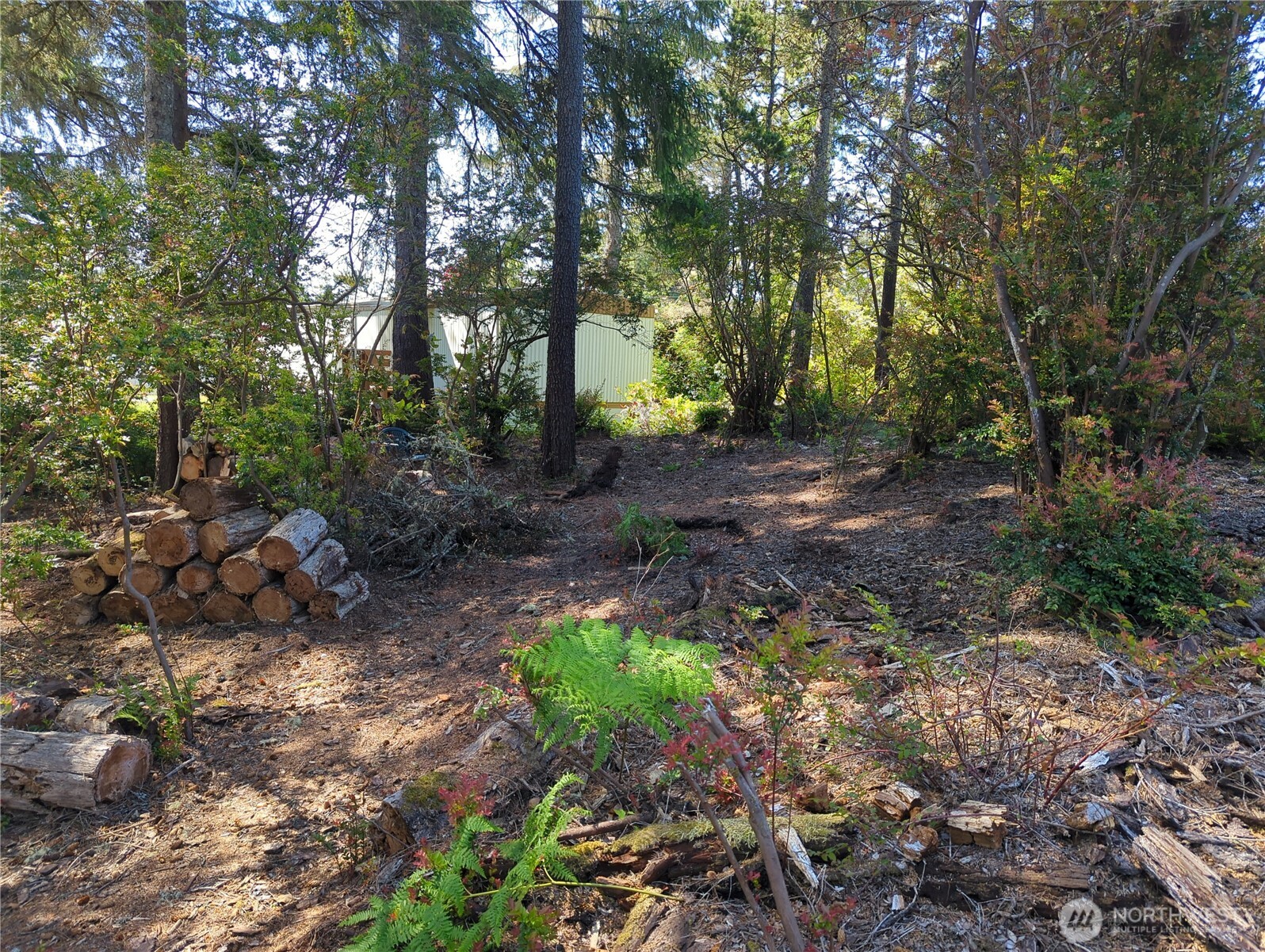 2100 266th Place Property Photo 15