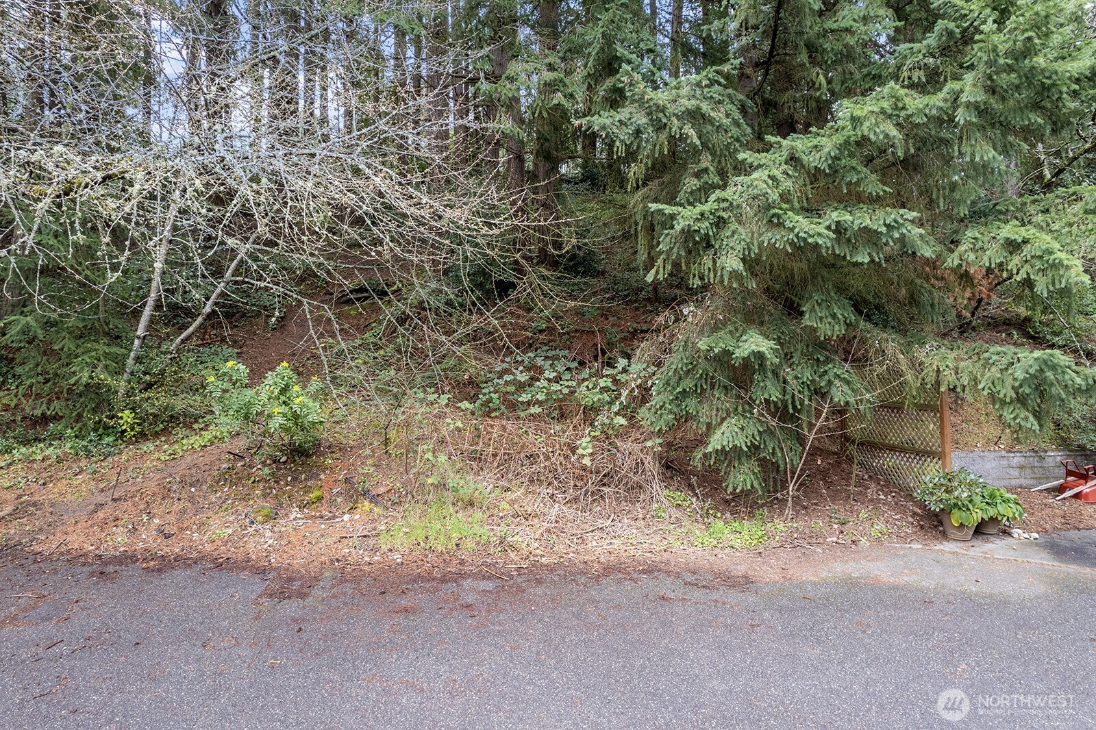 516 North 178th Court Property Photo 3