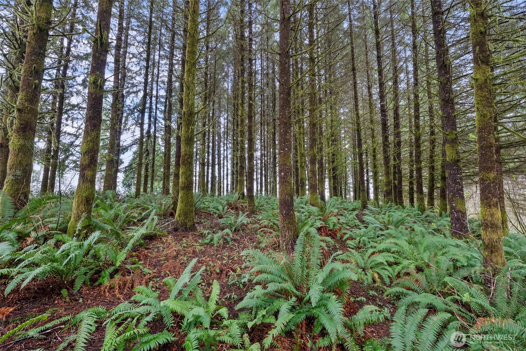 570 Wynooche Valley Road Property Photo 24