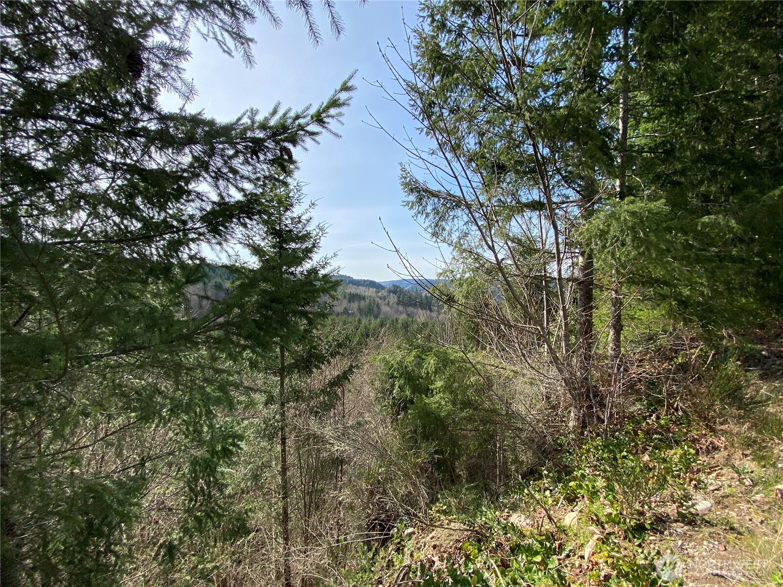 0 Lot 2 250th Avenue Property Photo 11