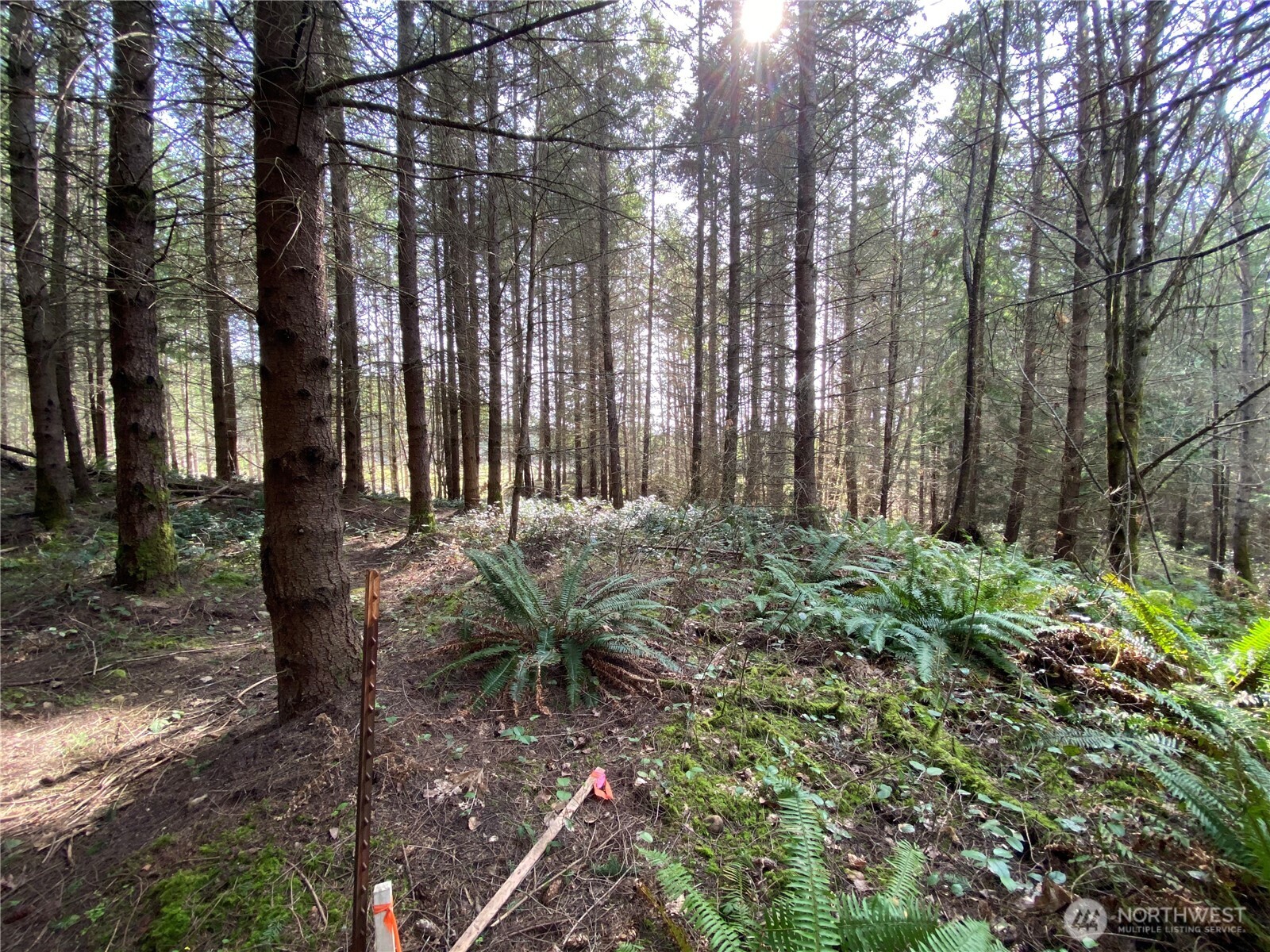 0 Lot 3 250th Avenue Property Photo 7