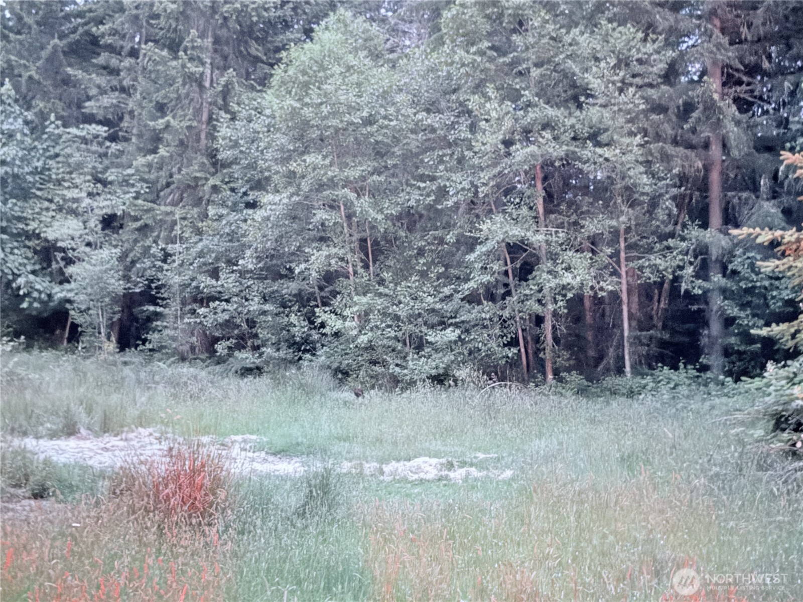 0 Lot 3 250th Avenue Property Photo 9