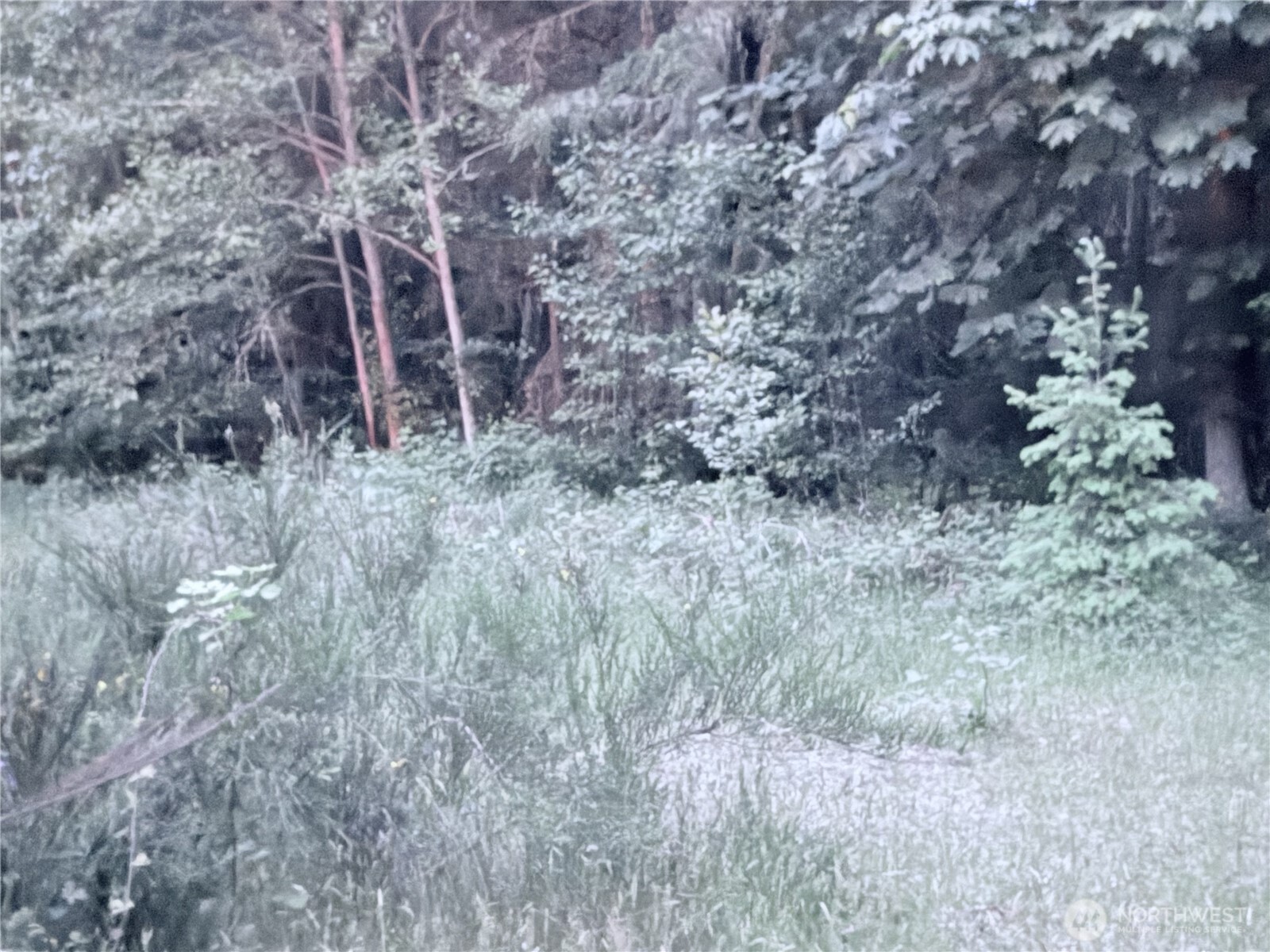0 Lot 3 250th Avenue Property Photo 10
