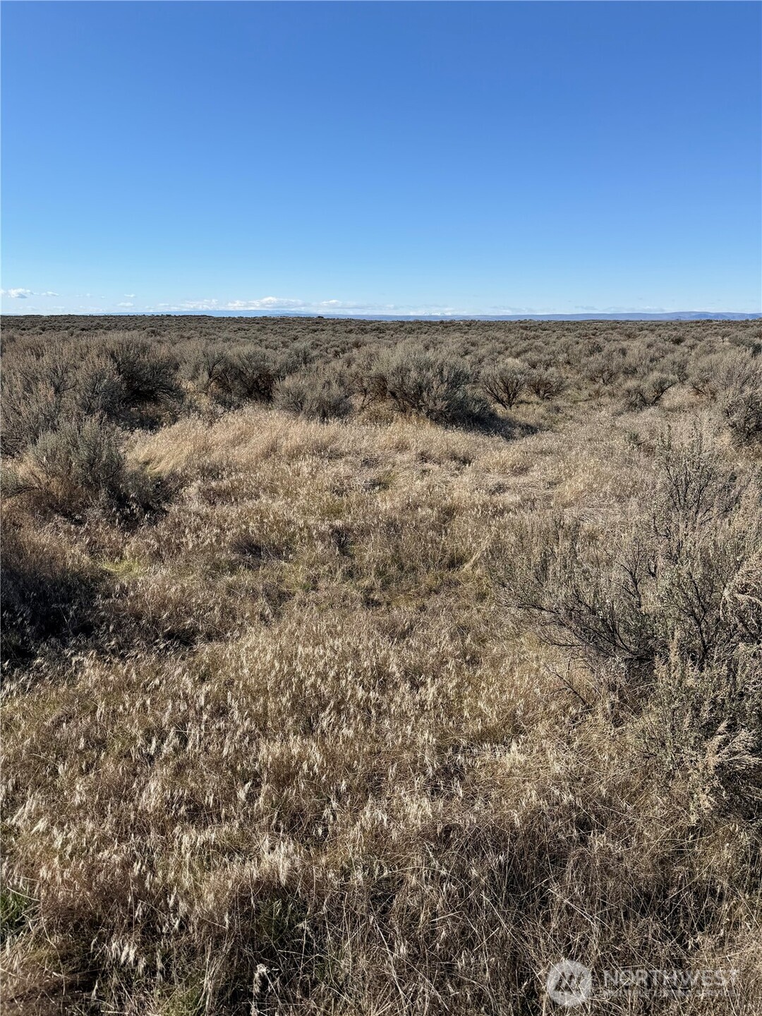 0 Lot 225 Eagle Springs Ranch Property Photo 4