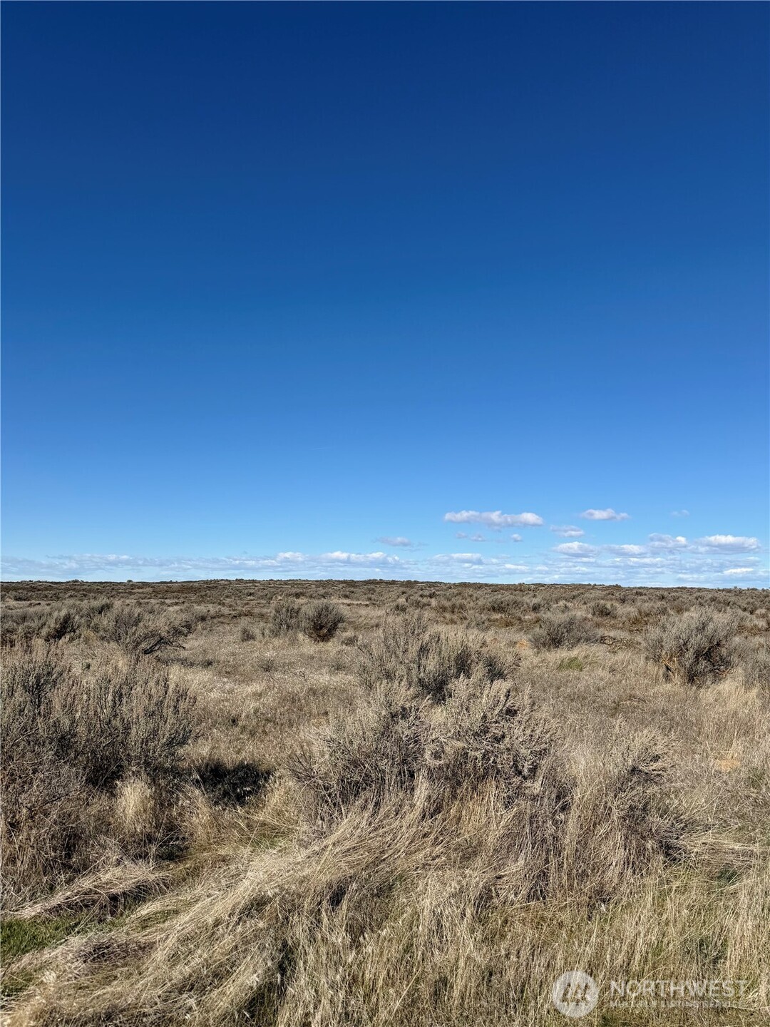 0 Lot 225 Eagle Springs Ranch Property Photo 5