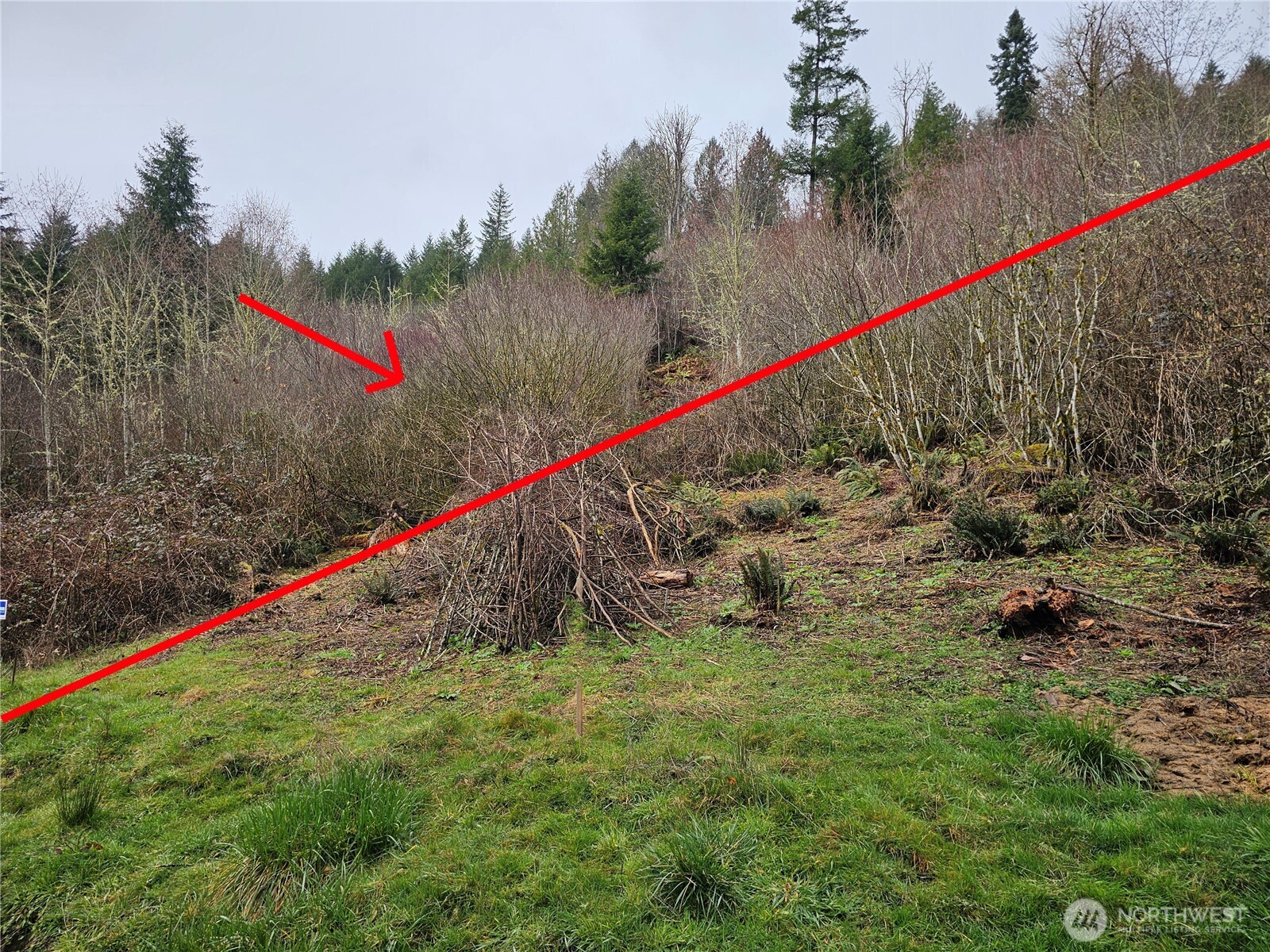 573 Clearwater Road Property Photo 23