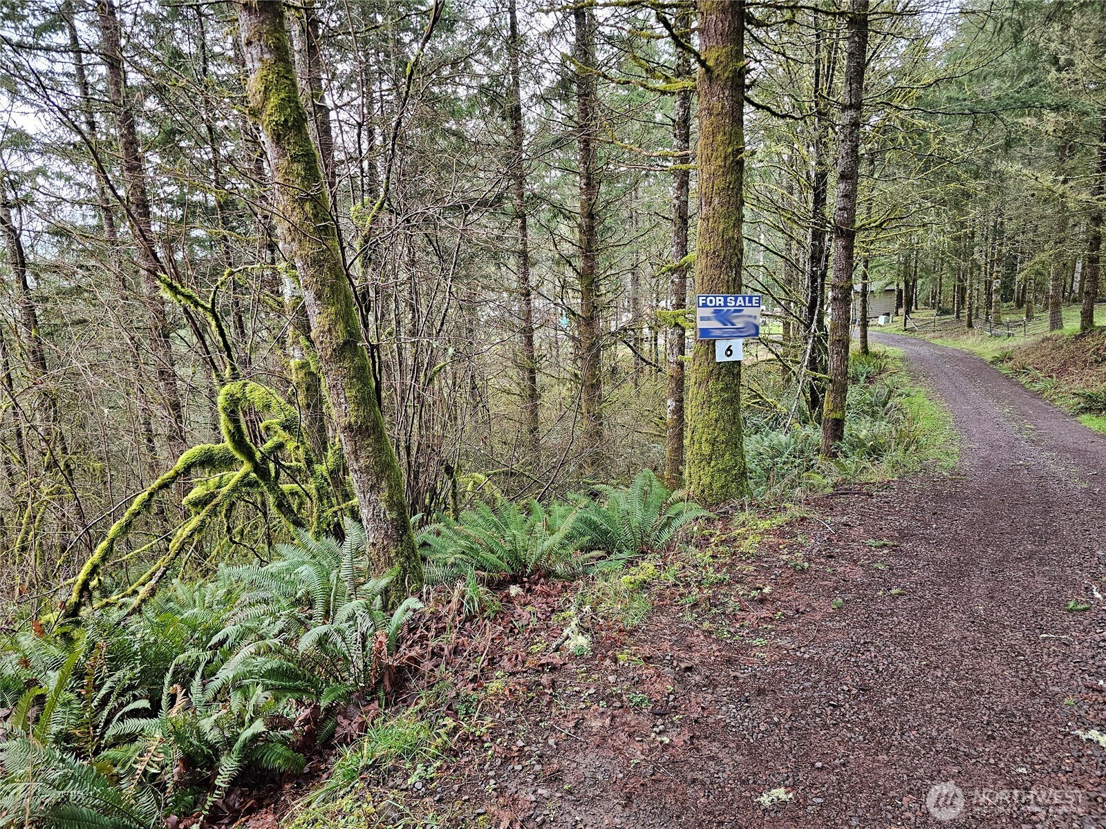 573 Clearwater Road Property Photo 32