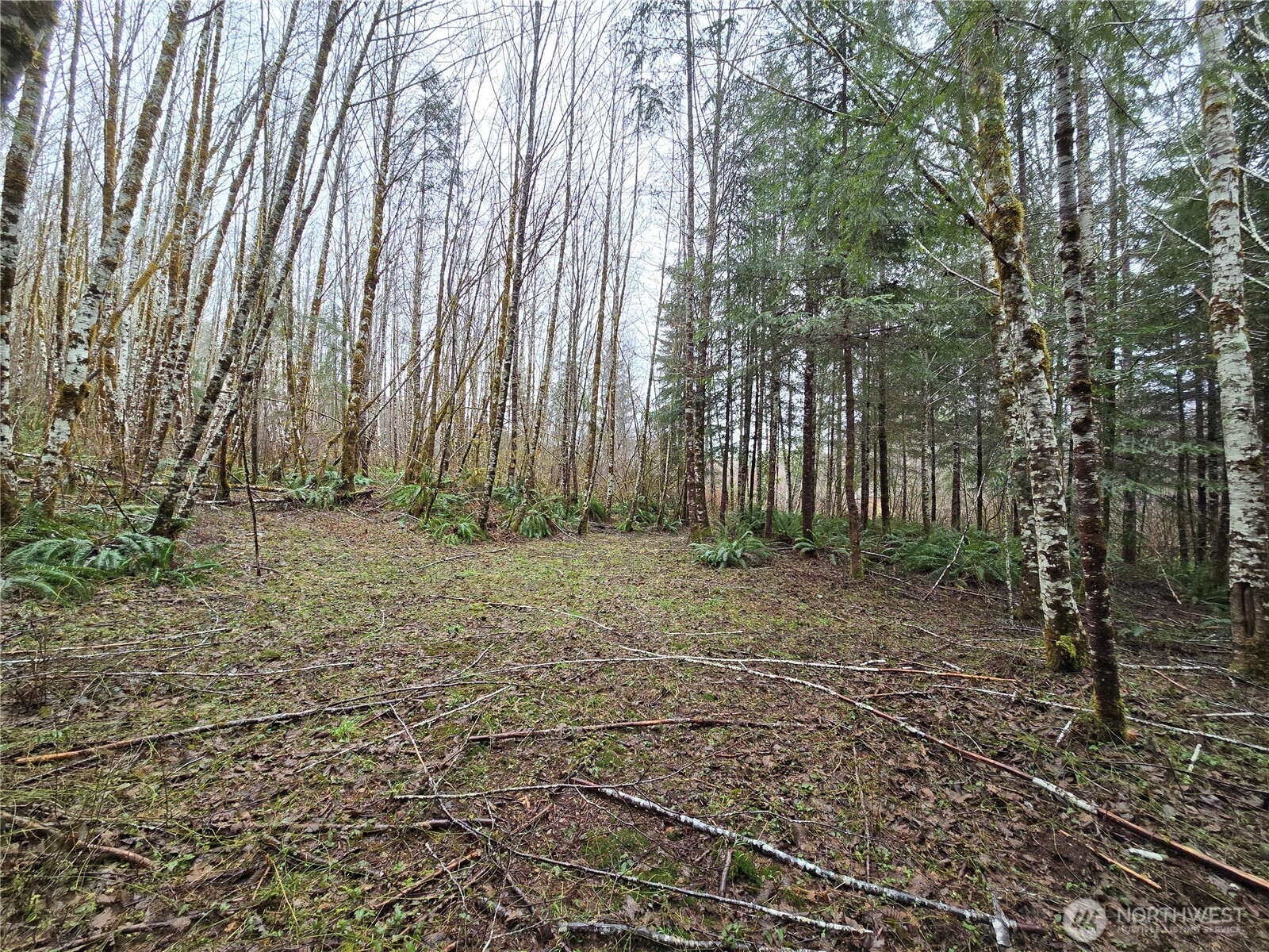 0 Lot 4 W Elk Hill Road Property Photo 2