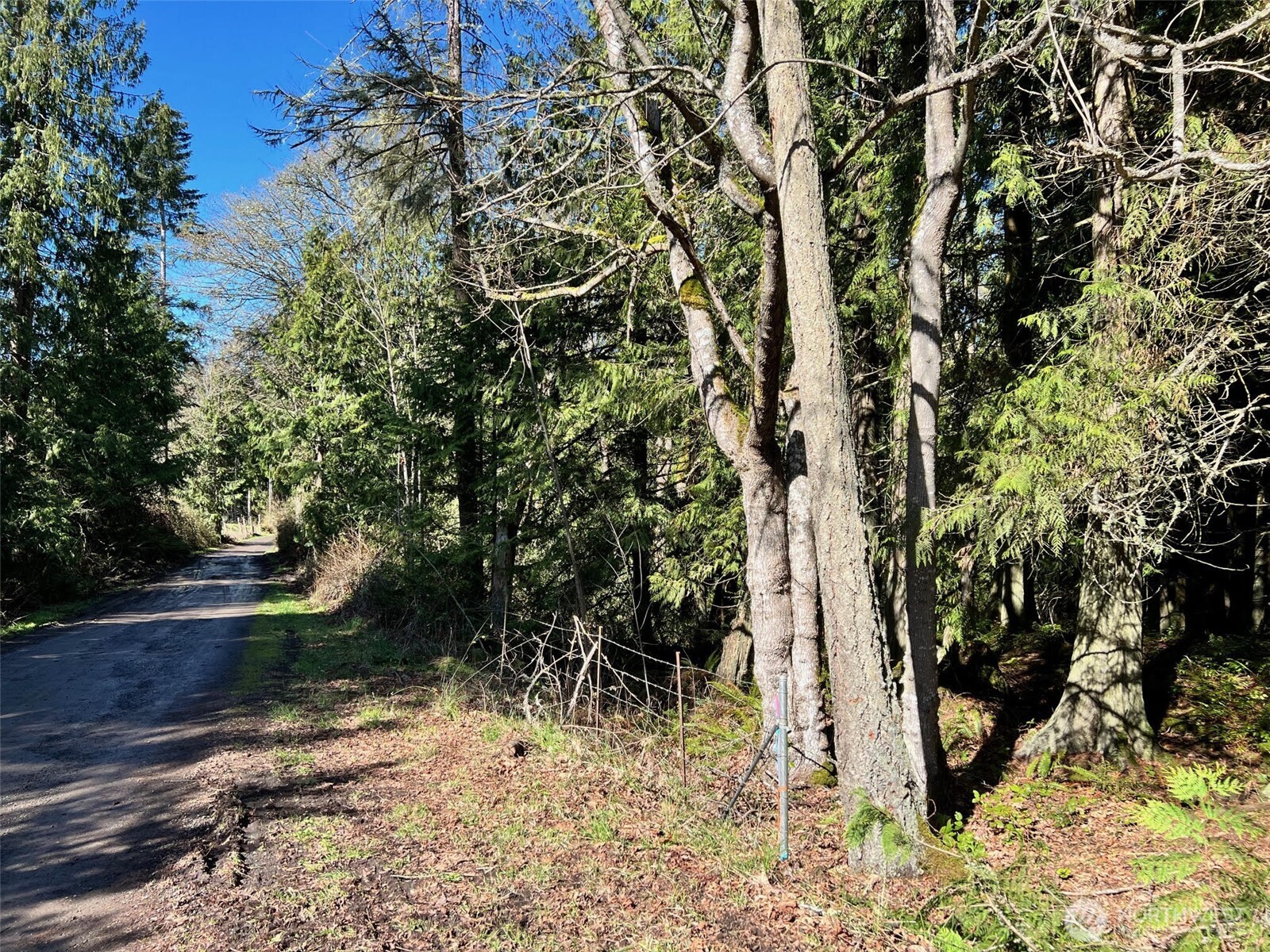 9999 S Sequim Ave Parcel B Property Photo 7