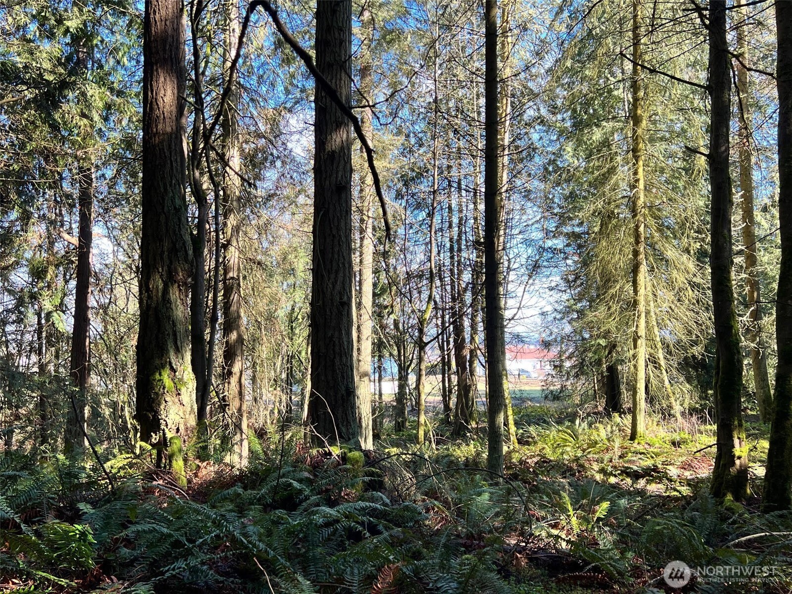 9999 S Sequim Ave Parcel B Property Photo 11