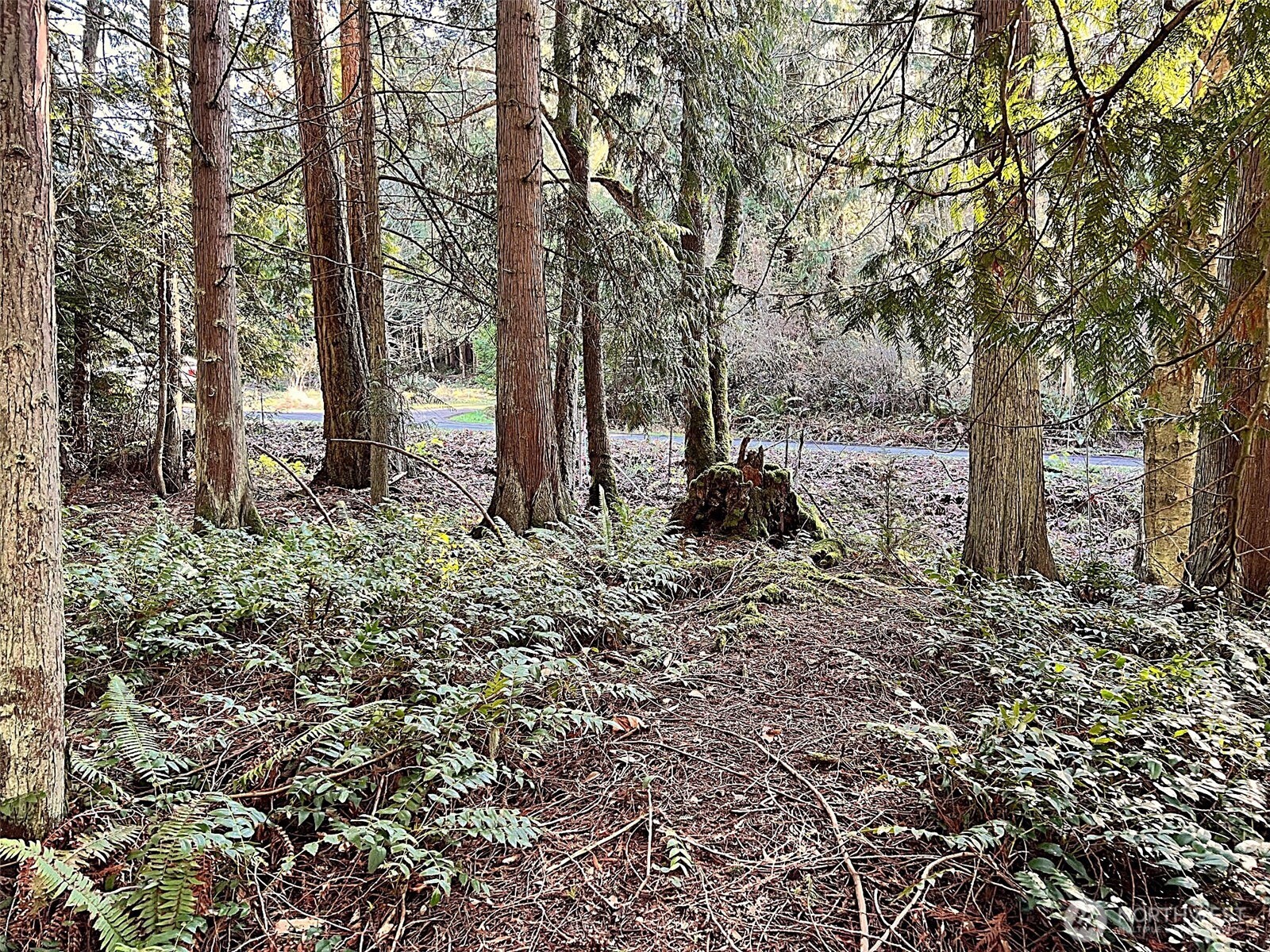 9999 S Sequim Ave Parcel B Property Photo 12