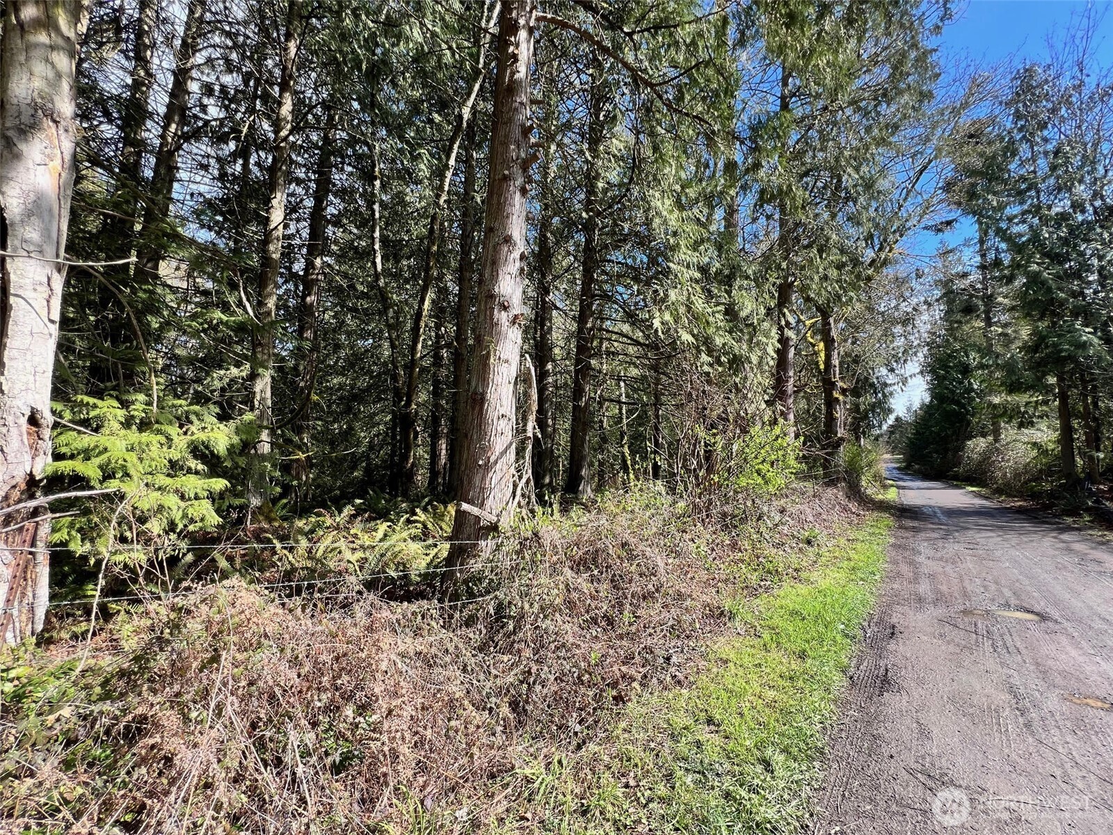 9999 S Sequim Ave Parcel C Property Photo 5