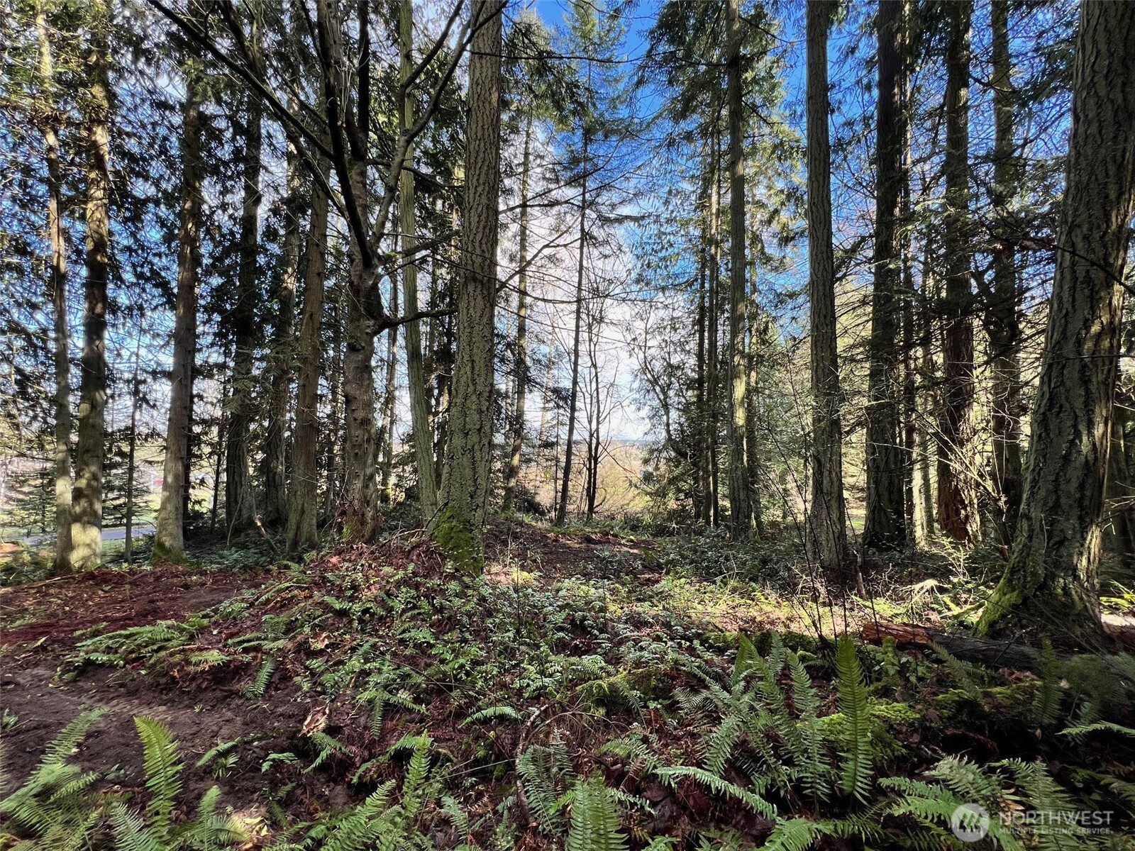 9999 S Sequim Ave Parcel C Property Photo 7