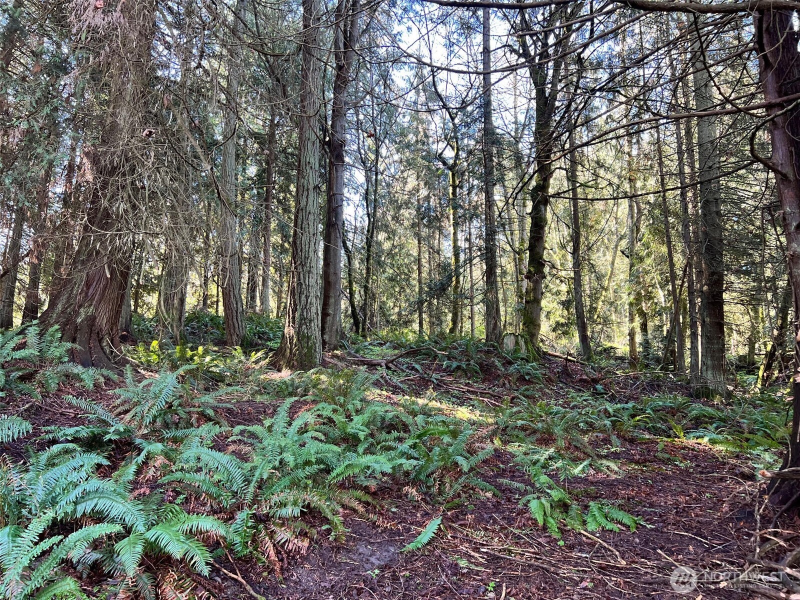9999 S Sequim Ave Parcel C Property Photo 10