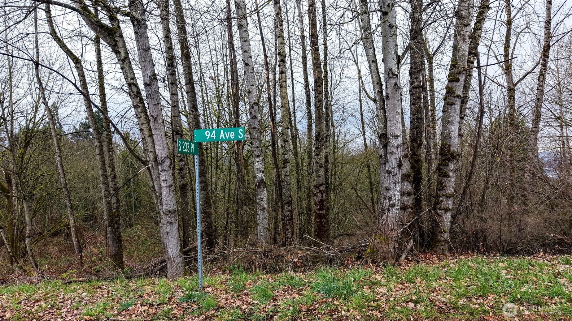 232 Xx 94th Avenue Property Photo 11