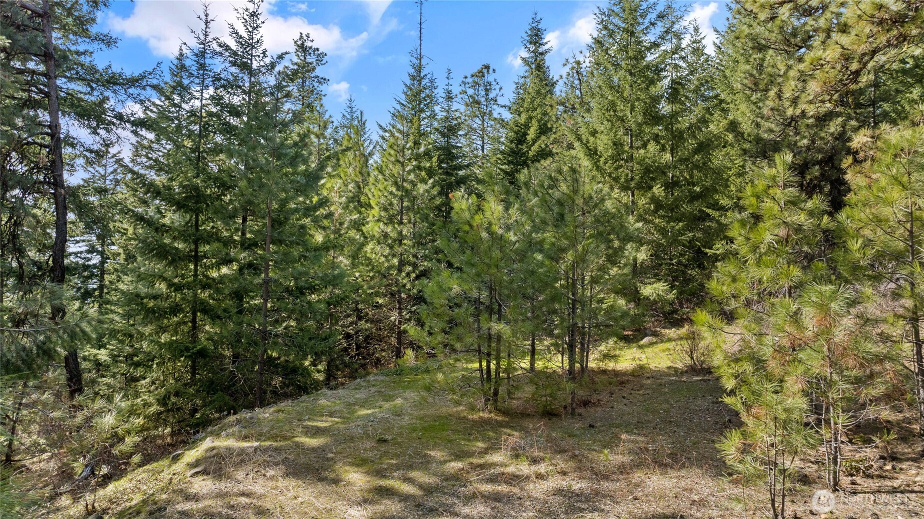 0 Lot B R&r Heights Drive Property Photo 4