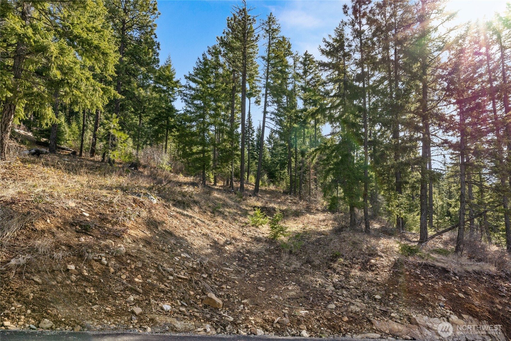 0 Lot 9 Night Sky Drive Property Photo 8