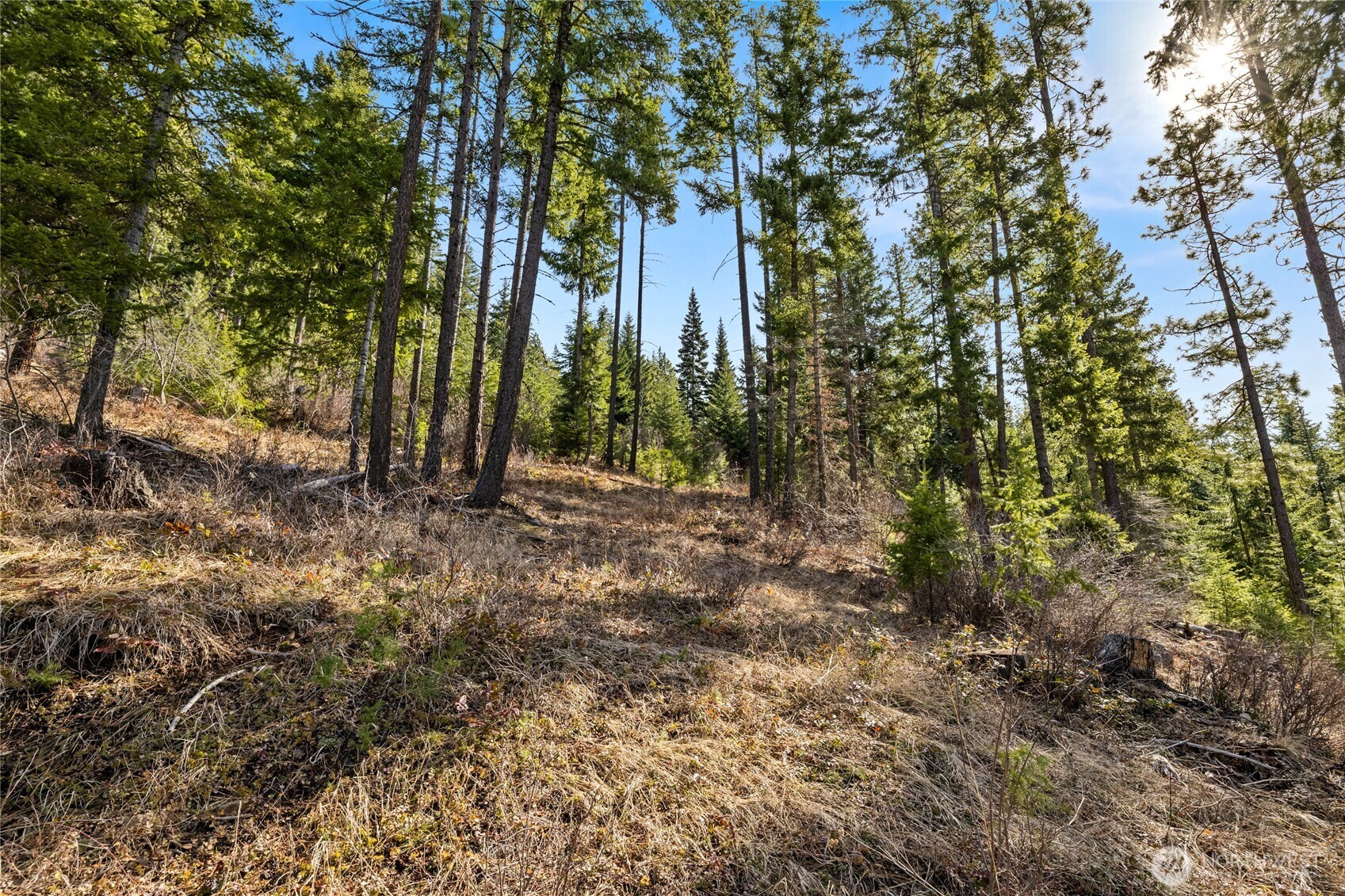 0 Lot 9 Night Sky Drive Property Photo 9
