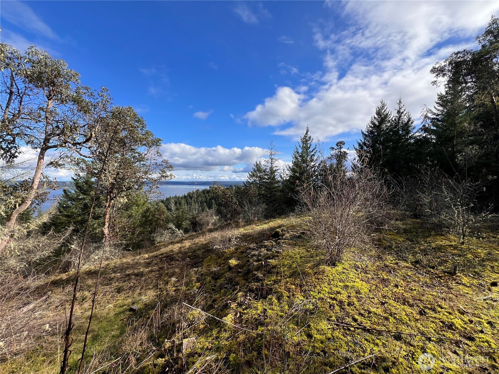 59 X Moose Mountain Road Property Photo 2