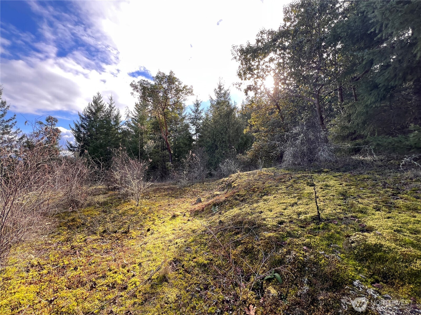 59 X Moose Mountain Road Property Photo 3