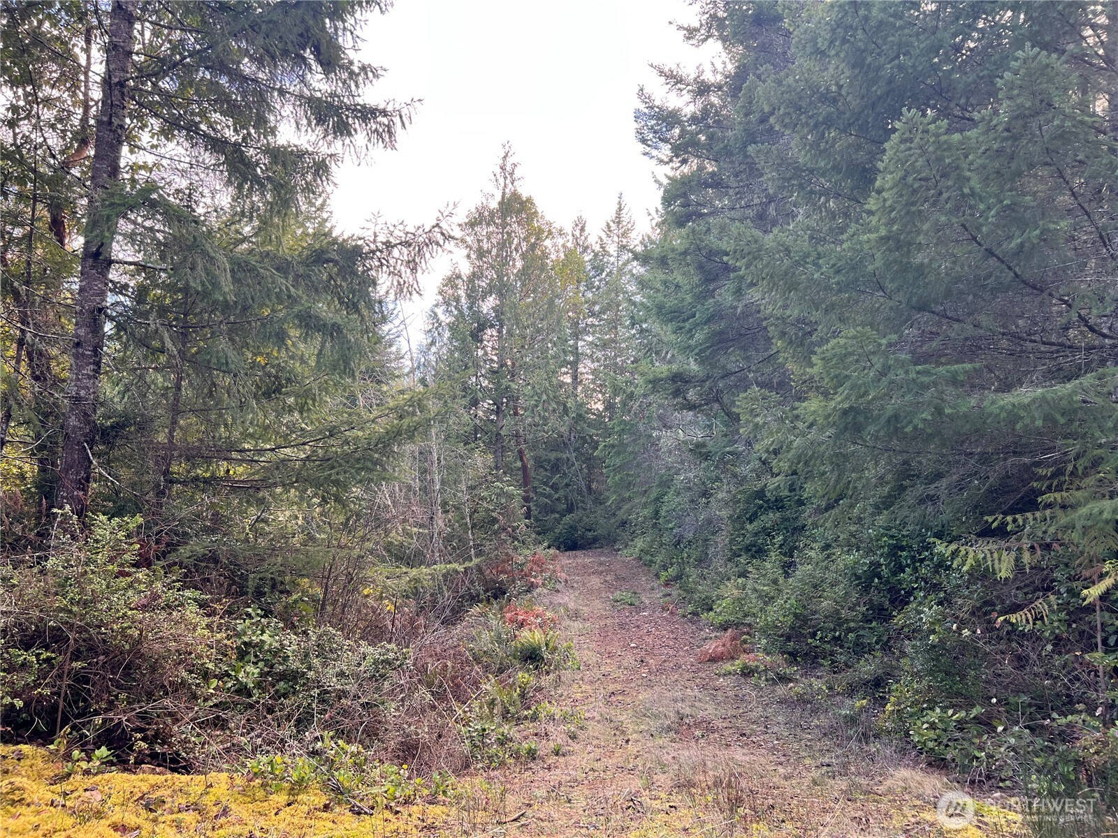 59 X Moose Mountain Road Property Photo 4