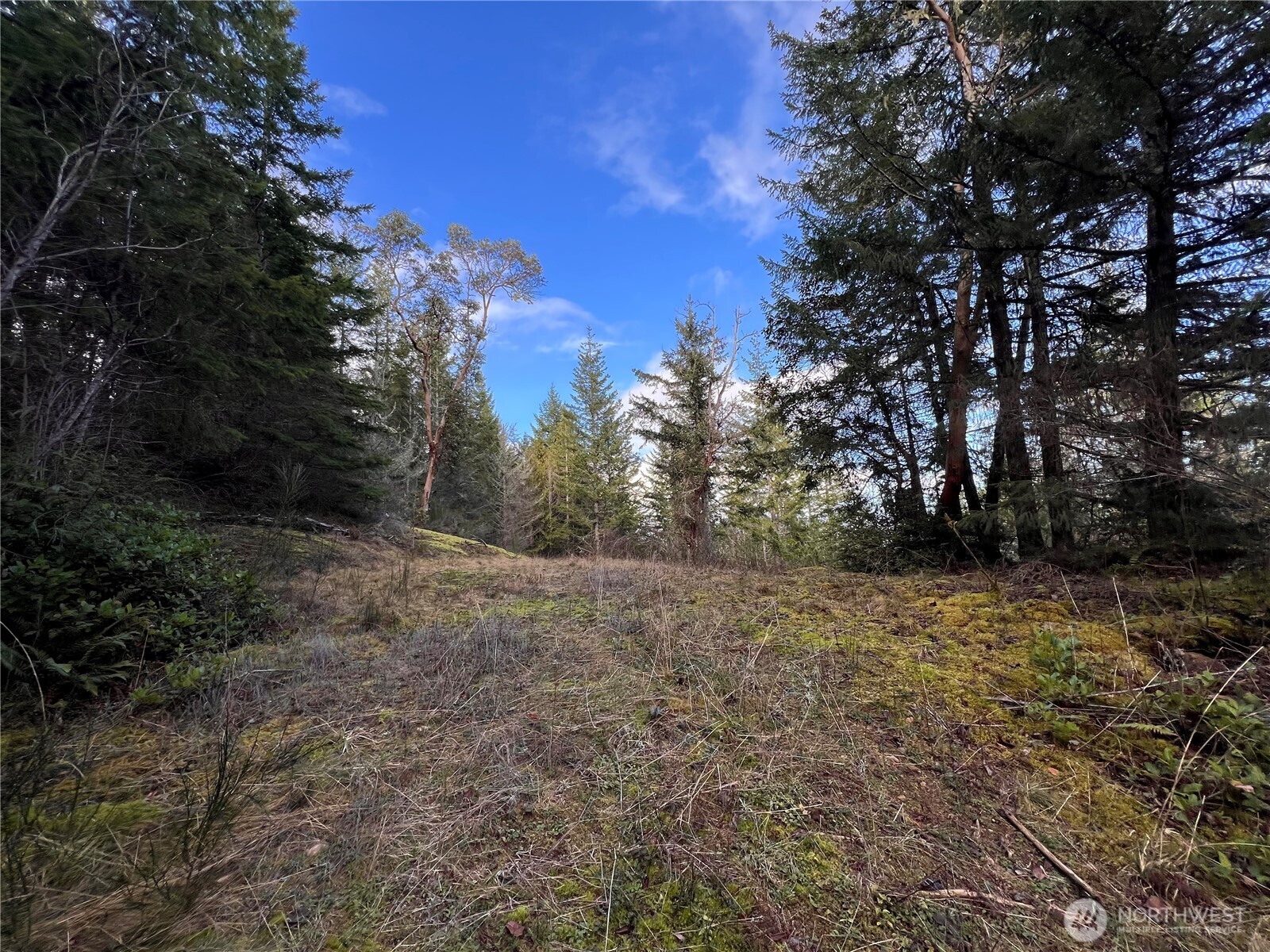 59 X Moose Mountain Road Property Photo 5