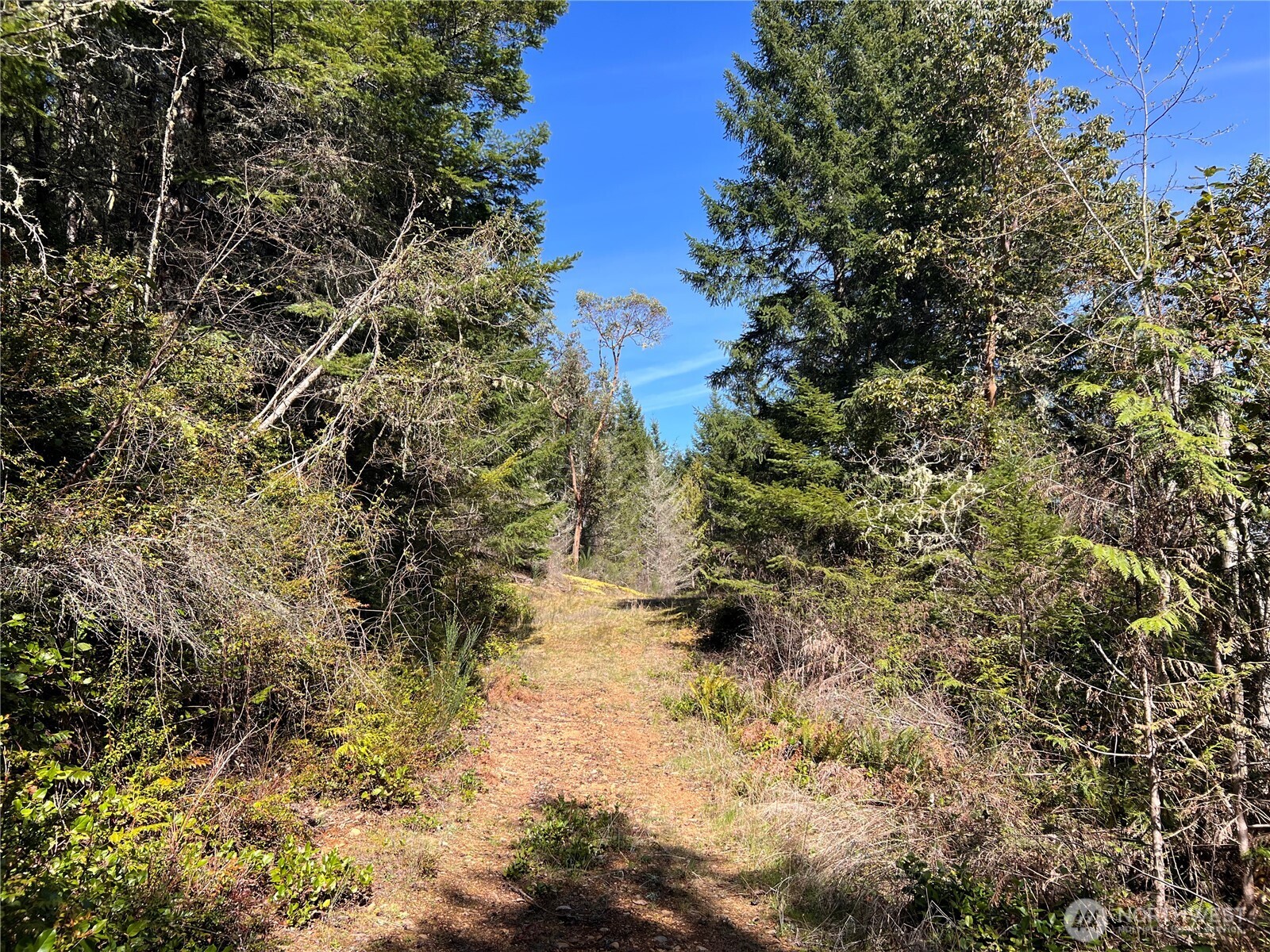 59 X Moose Mountain Road Property Photo 18