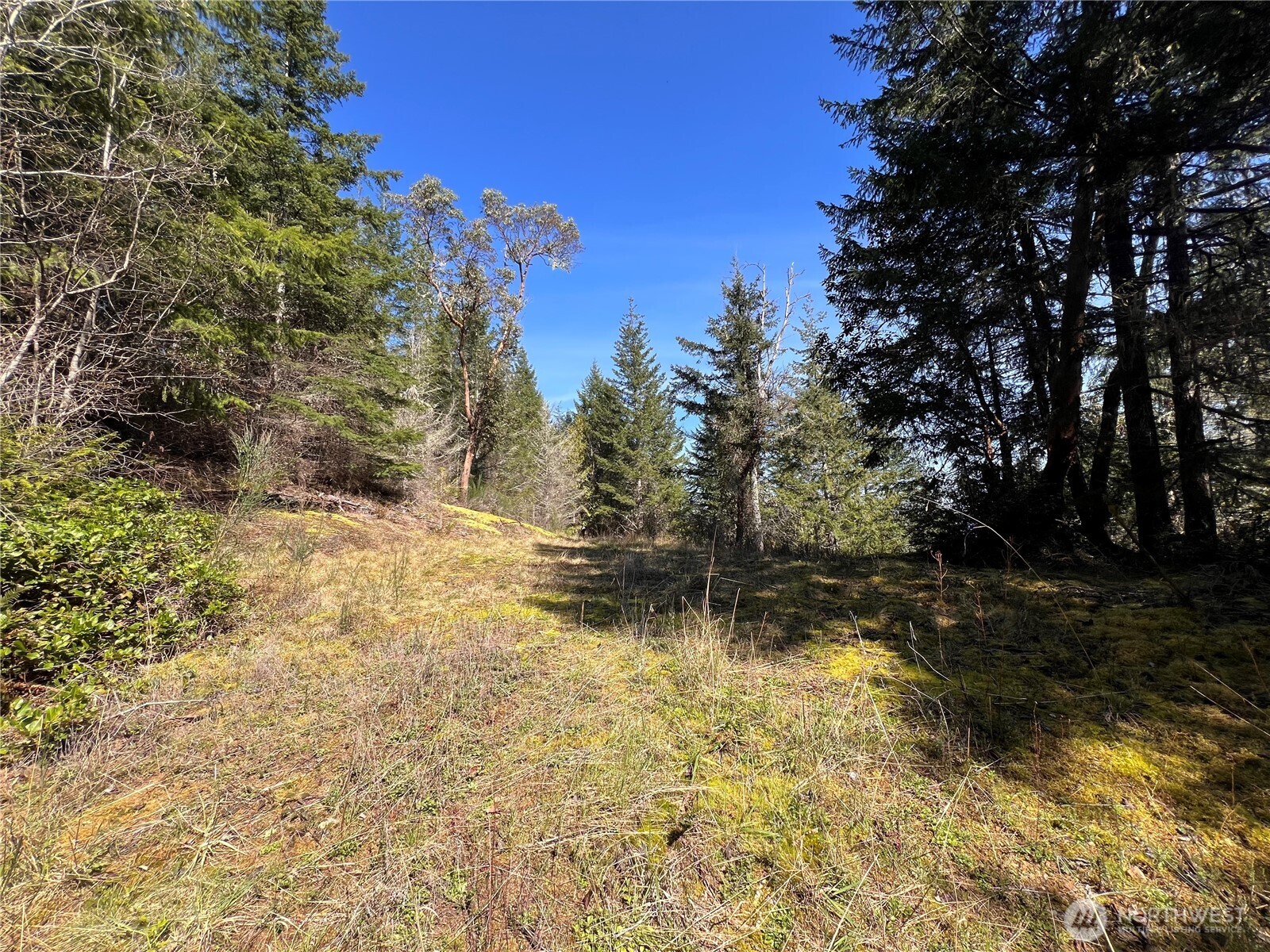 59 X Moose Mountain Road Property Photo 19