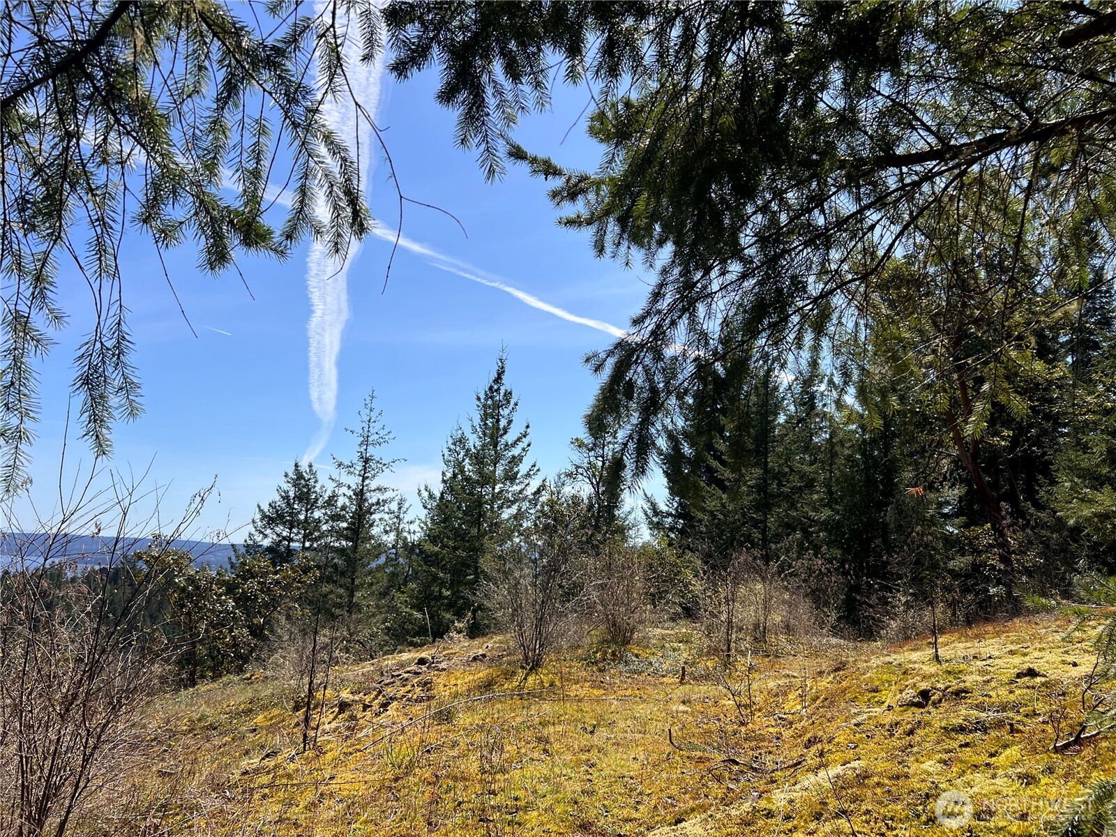 59 X Moose Mountain Road Property Photo 20