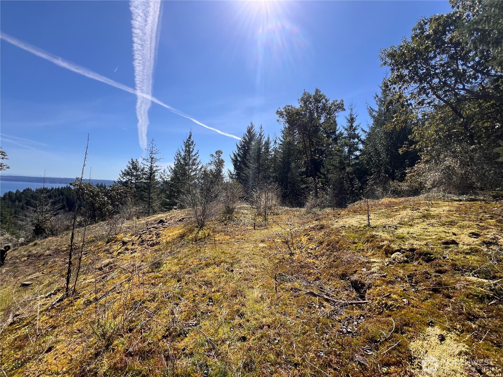 59 X Moose Mountain Road Property Photo 21