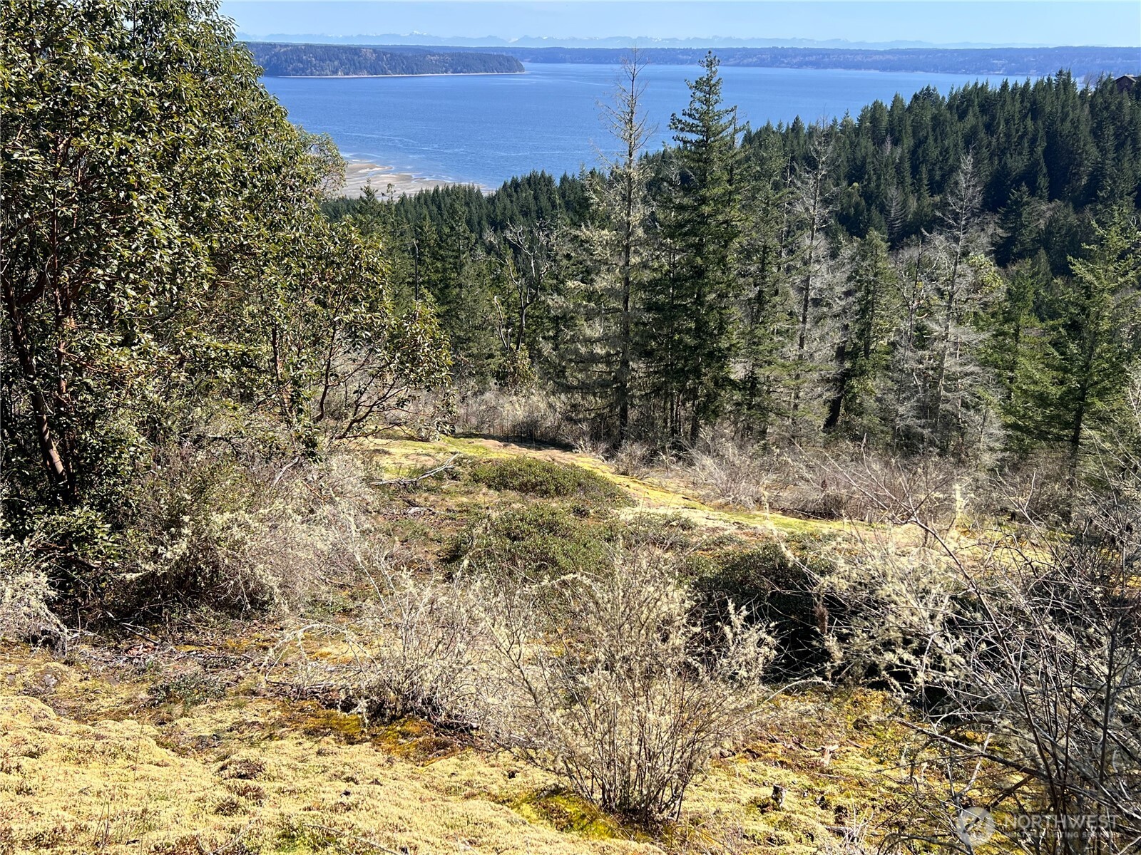 59 X Moose Mountain Road Property Photo 22