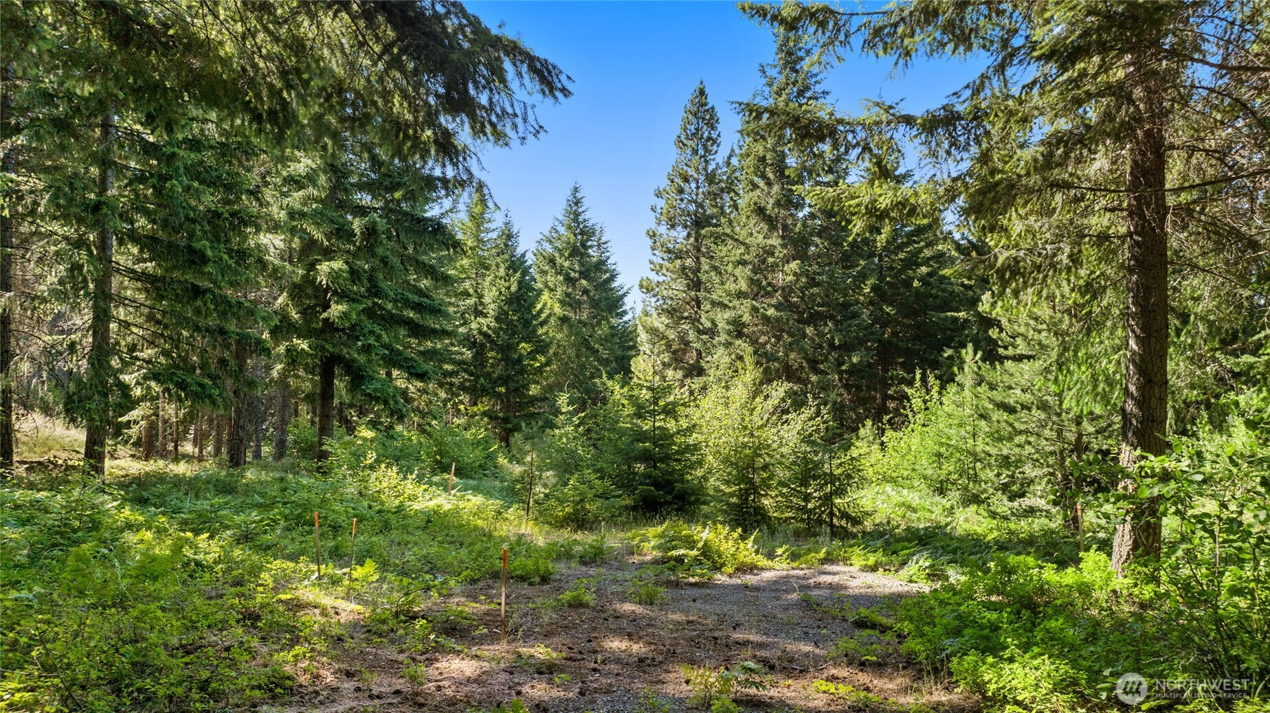 131 Goat Creek Lane Property Photo 1