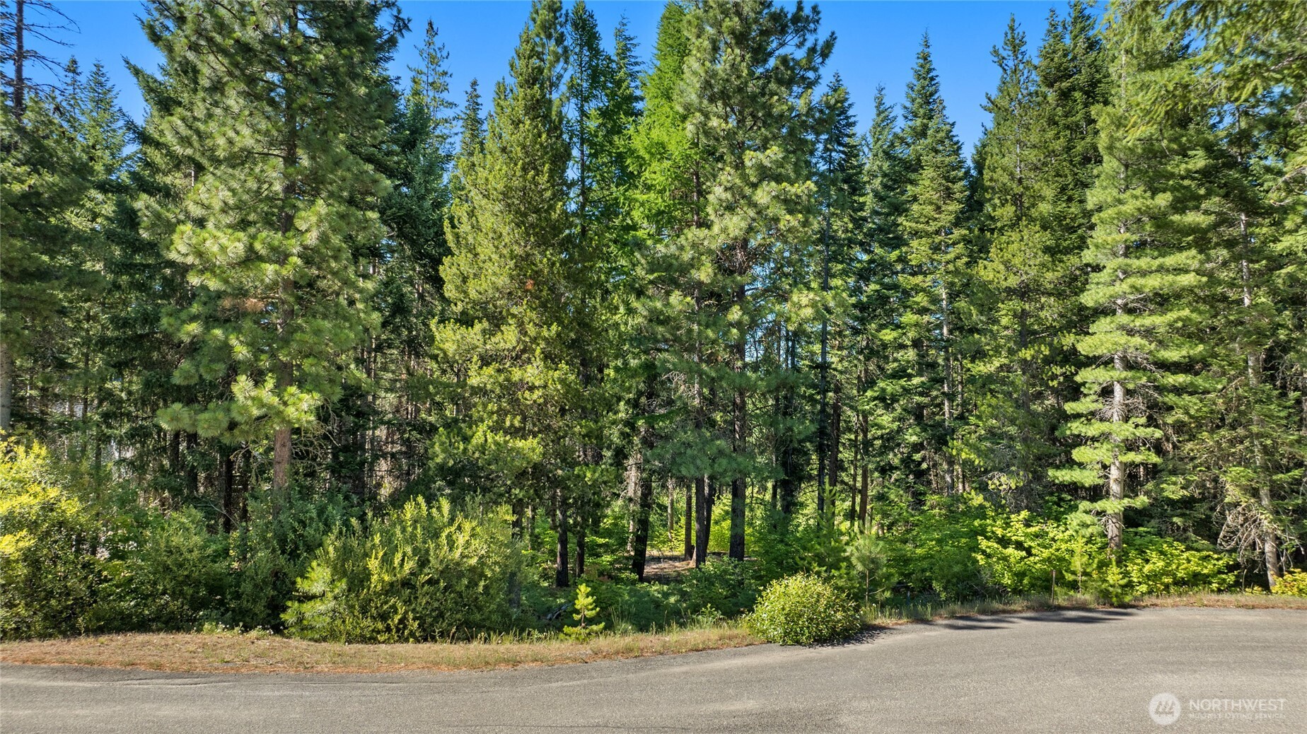 131 Goat Creek Lane Property Photo 4