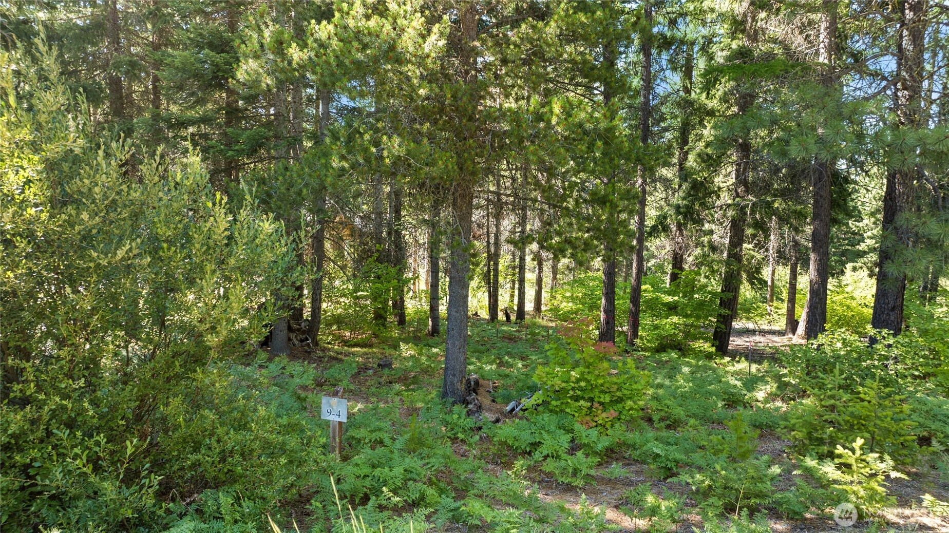 131 Goat Creek Lane Property Photo 5