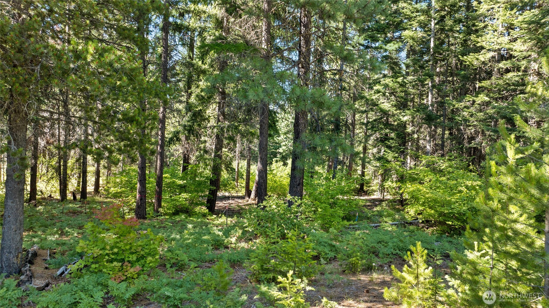 131 Goat Creek Lane Property Photo 11