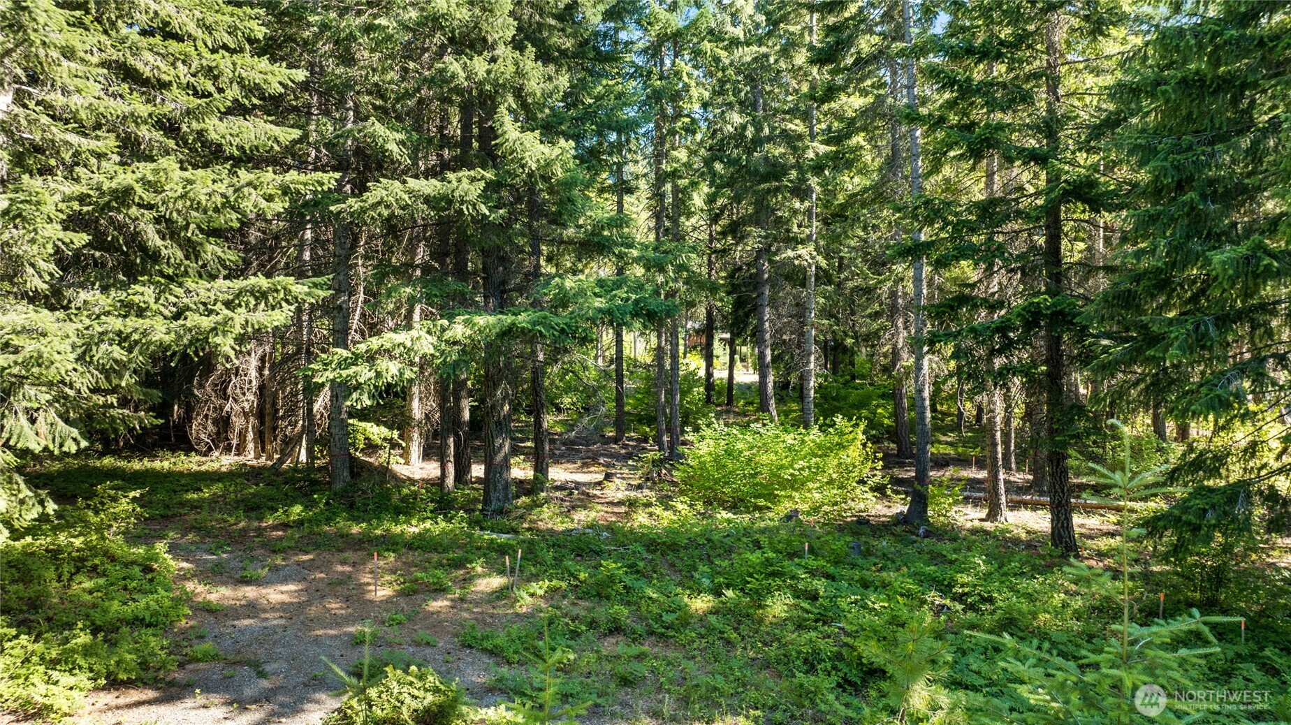131 Goat Creek Lane Property Photo 16