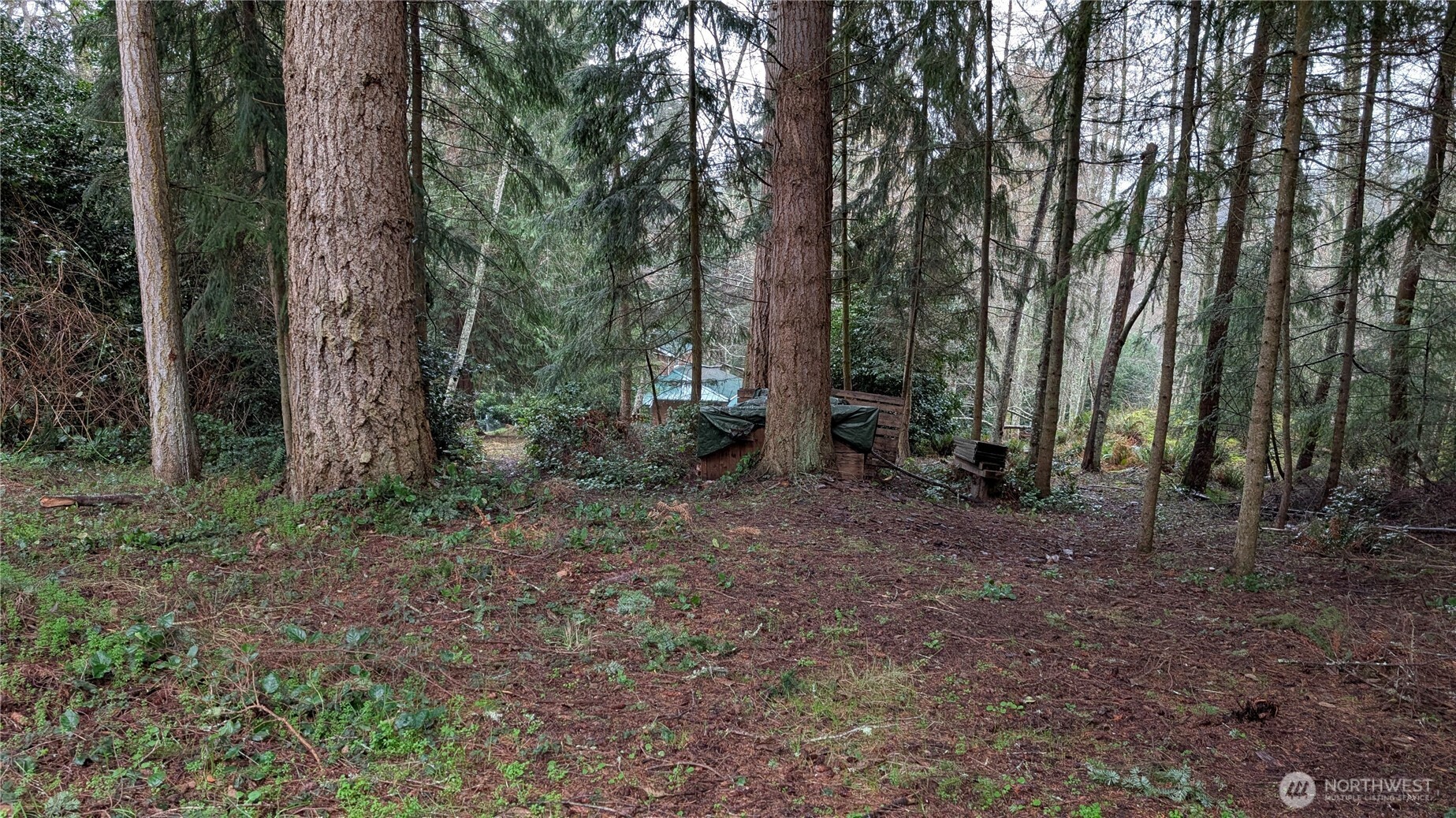 0 Worthy Place Property Photo 3