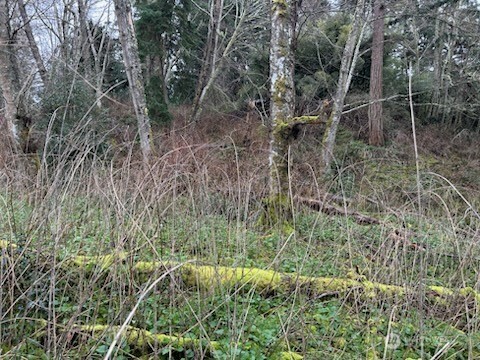 0 Ewing Property Photo 5