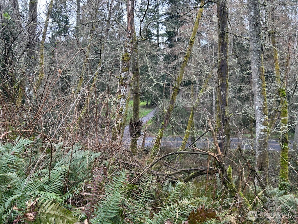 0 Ewing Property Photo 6