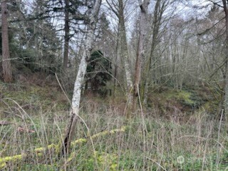 0 Ewing Property Photo 13