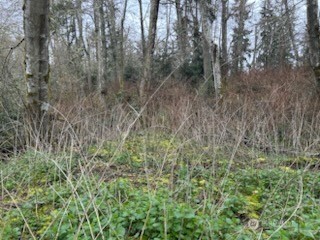 0 Ewing Property Photo 15