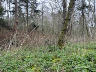0 Ewing Property Photo 16