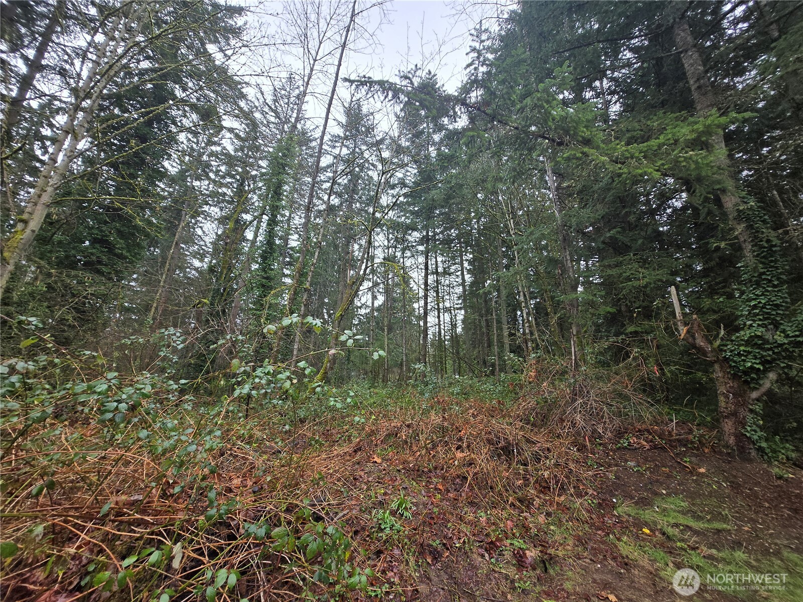 18 Xxx 120th Avenue Property Photo 4