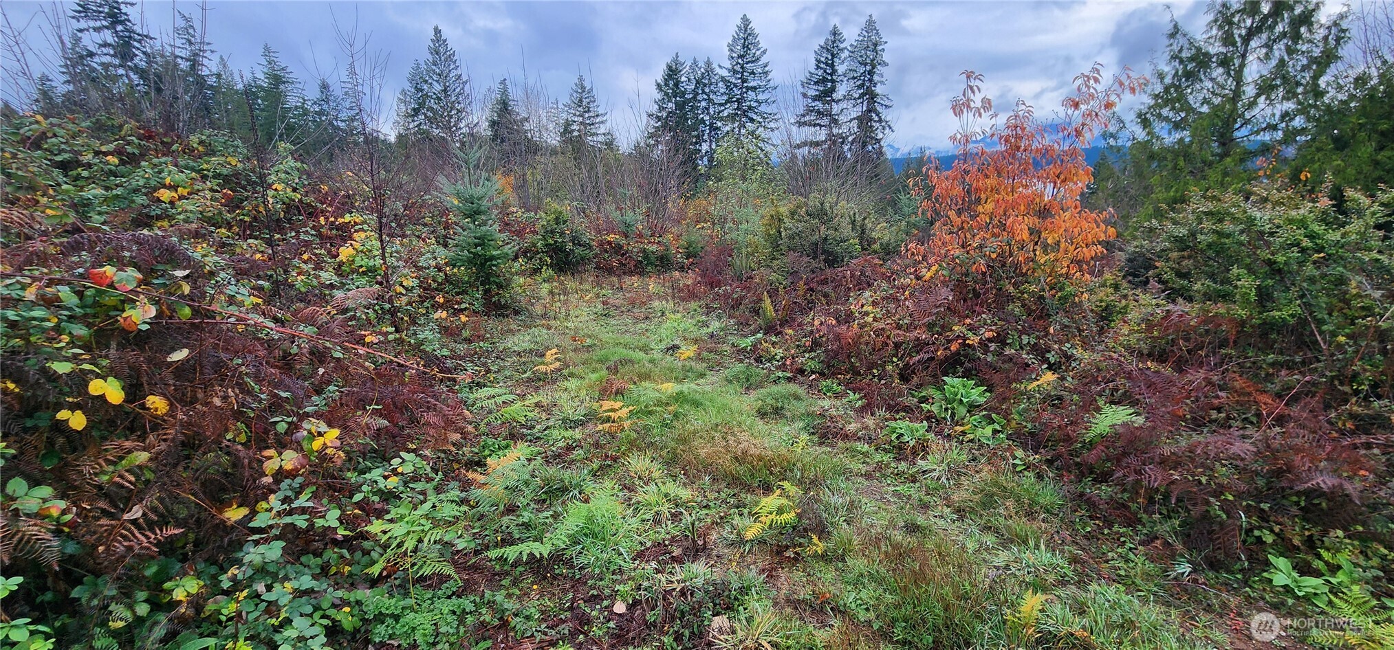 0 E Twanoh Heights Road Property Photo 4